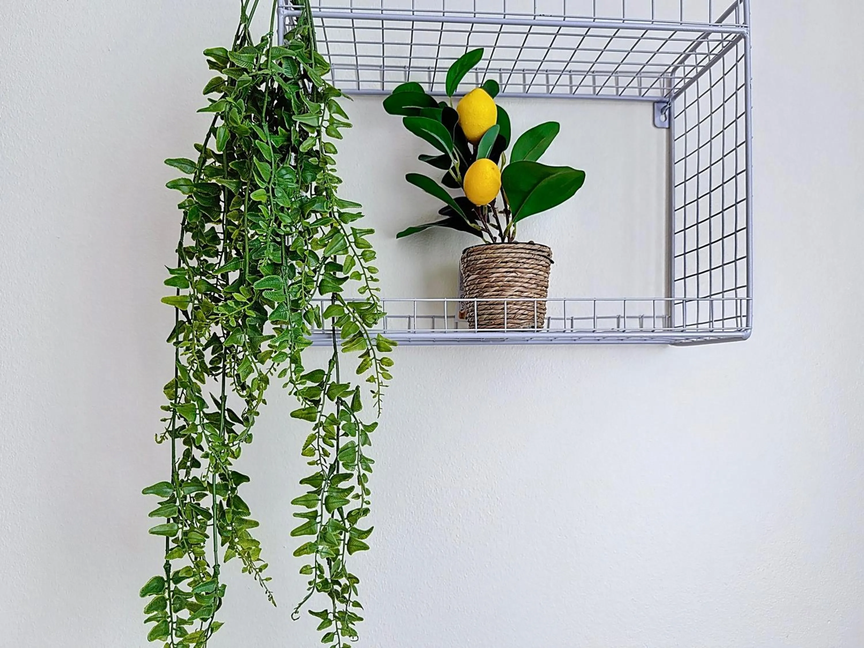 Slina Hotel Brussels