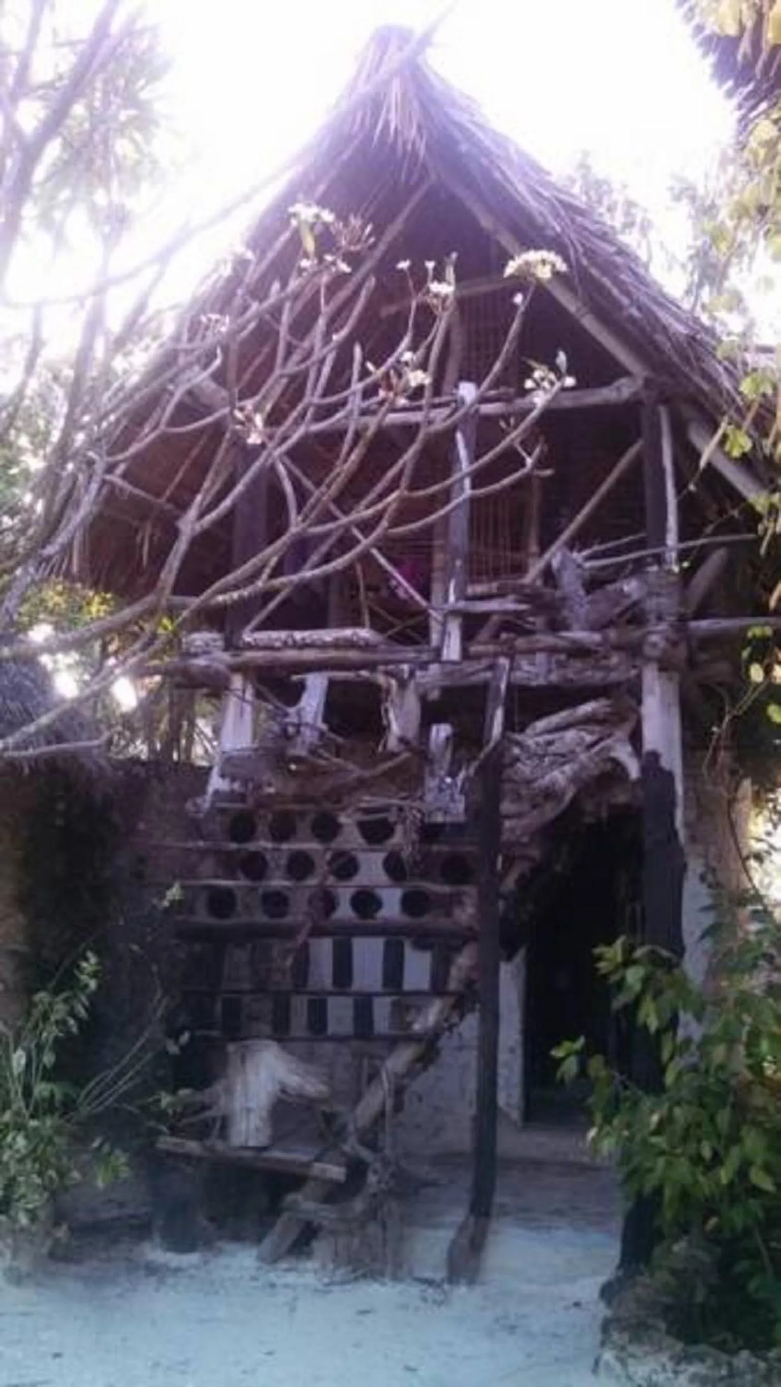 Facade/entrance in Mustapha' s Place