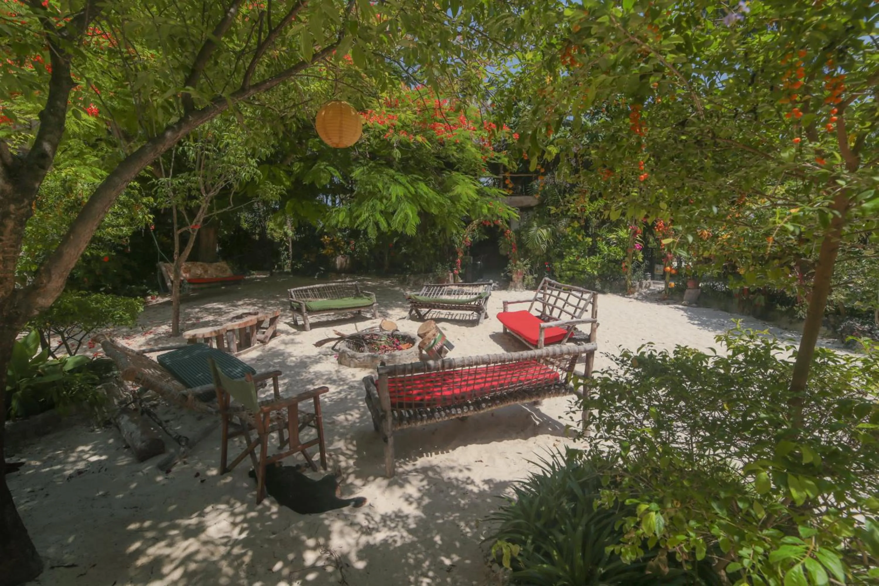 View (from property/room) in Mustapha' s Place