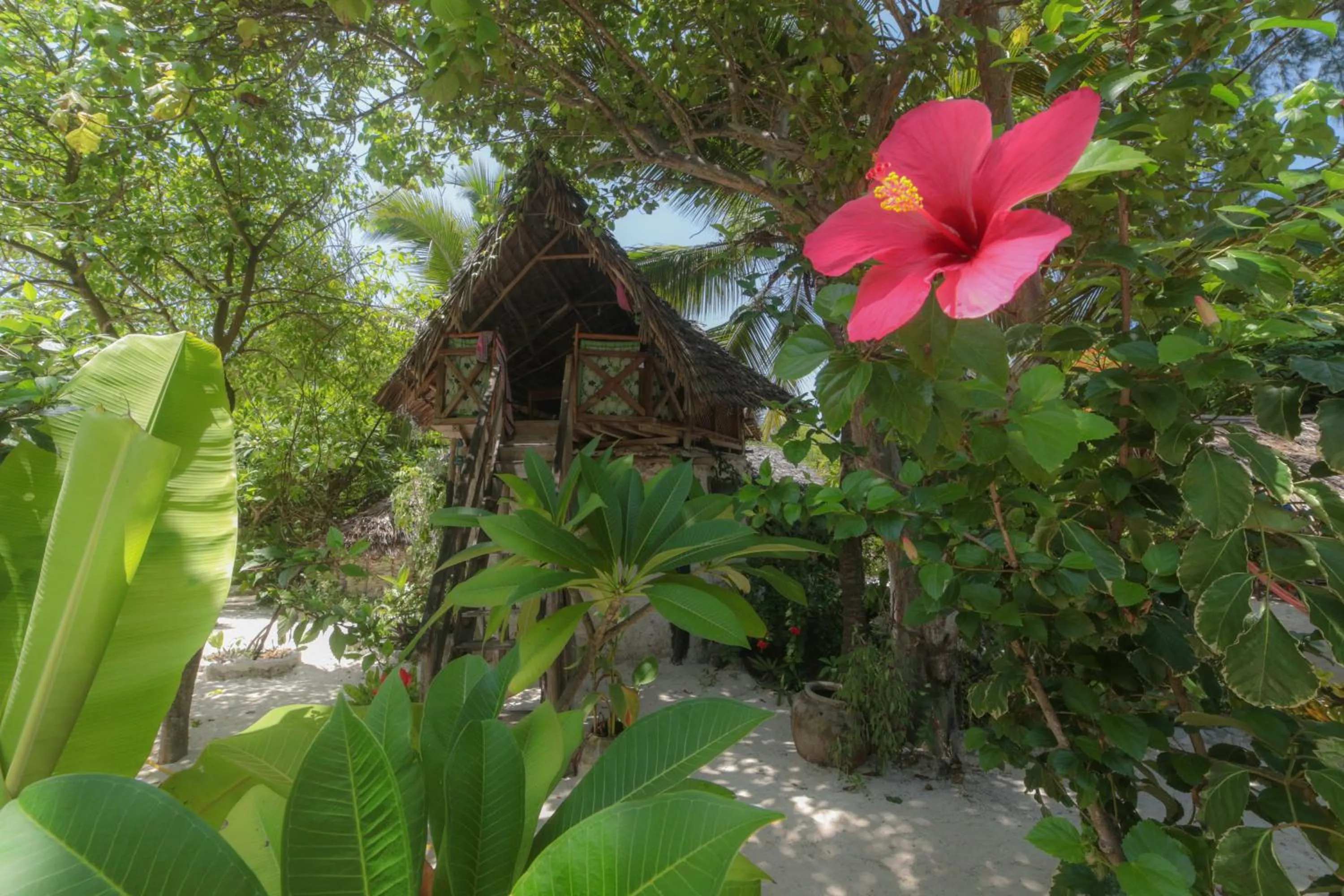 Massage in Mustapha' s Place