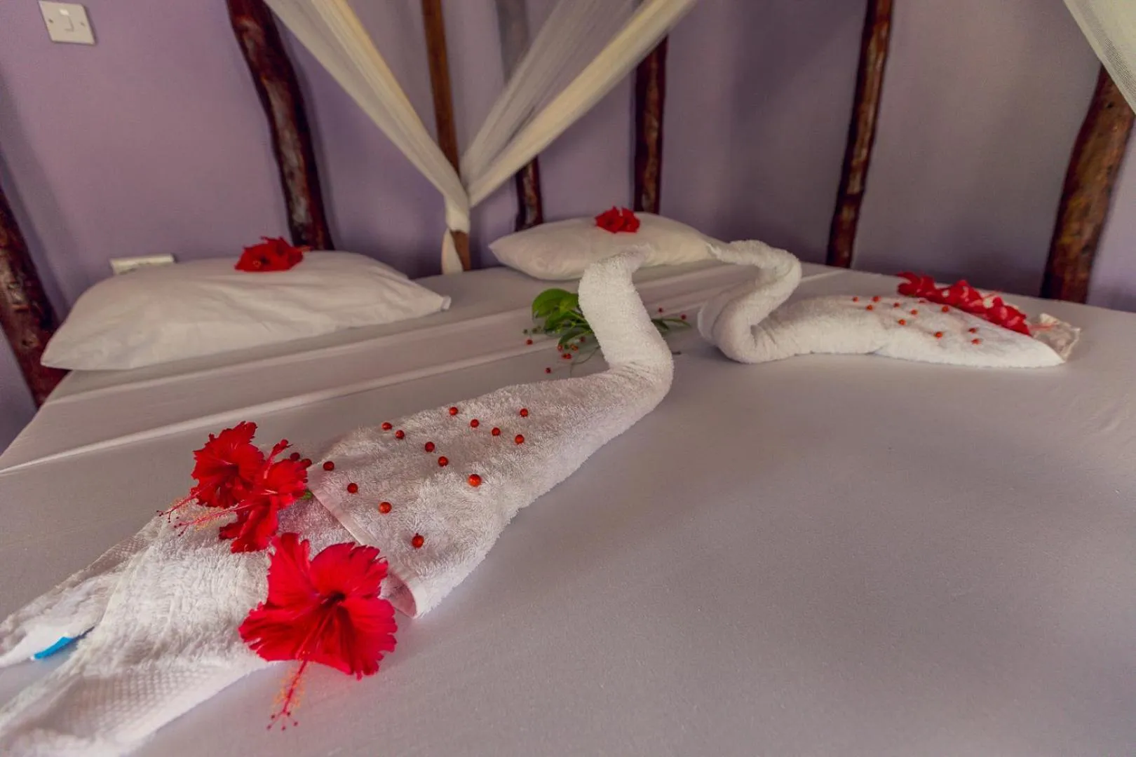 Bed in Mustapha' s Place