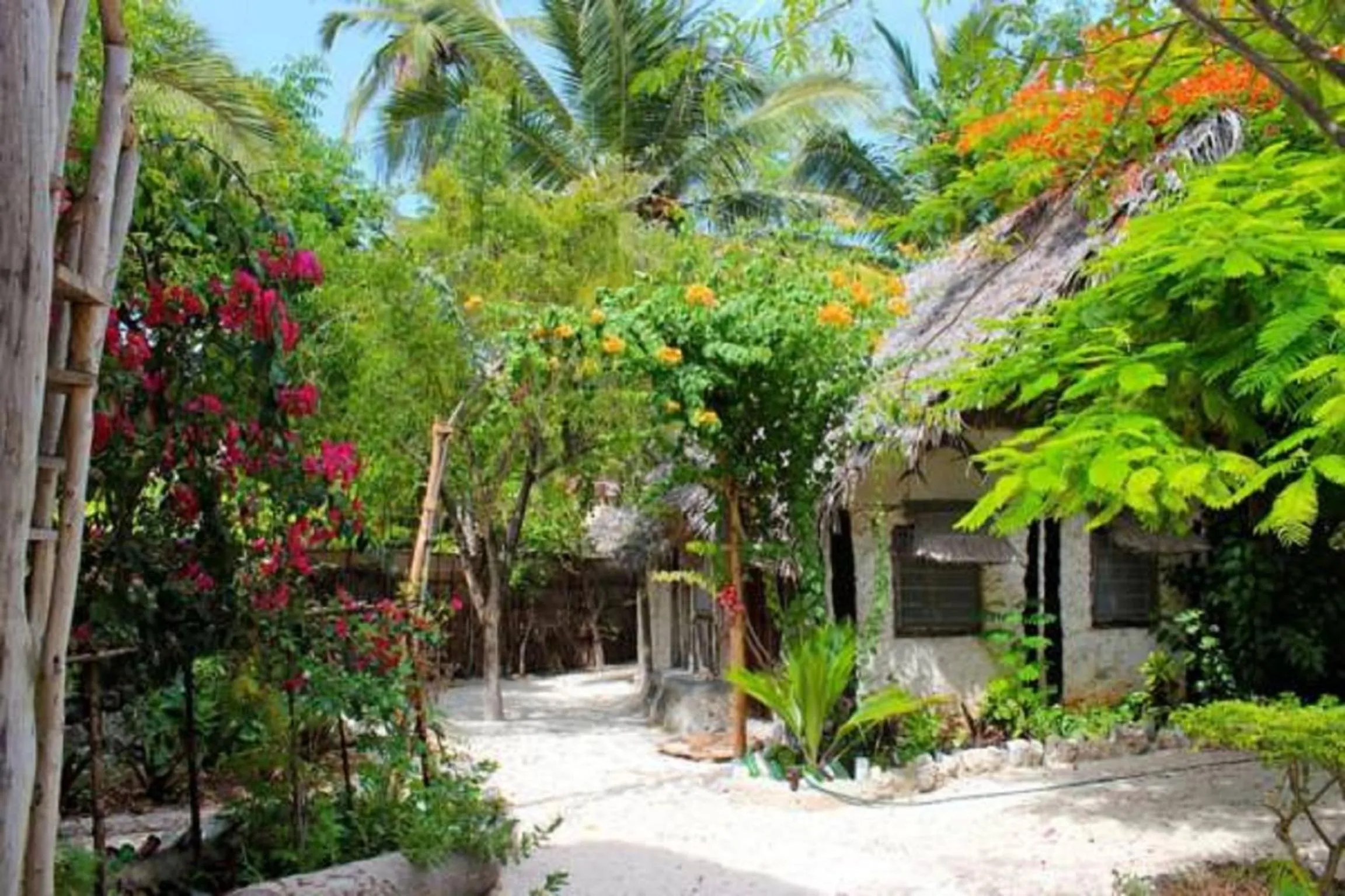 Other in Mustapha' s Place