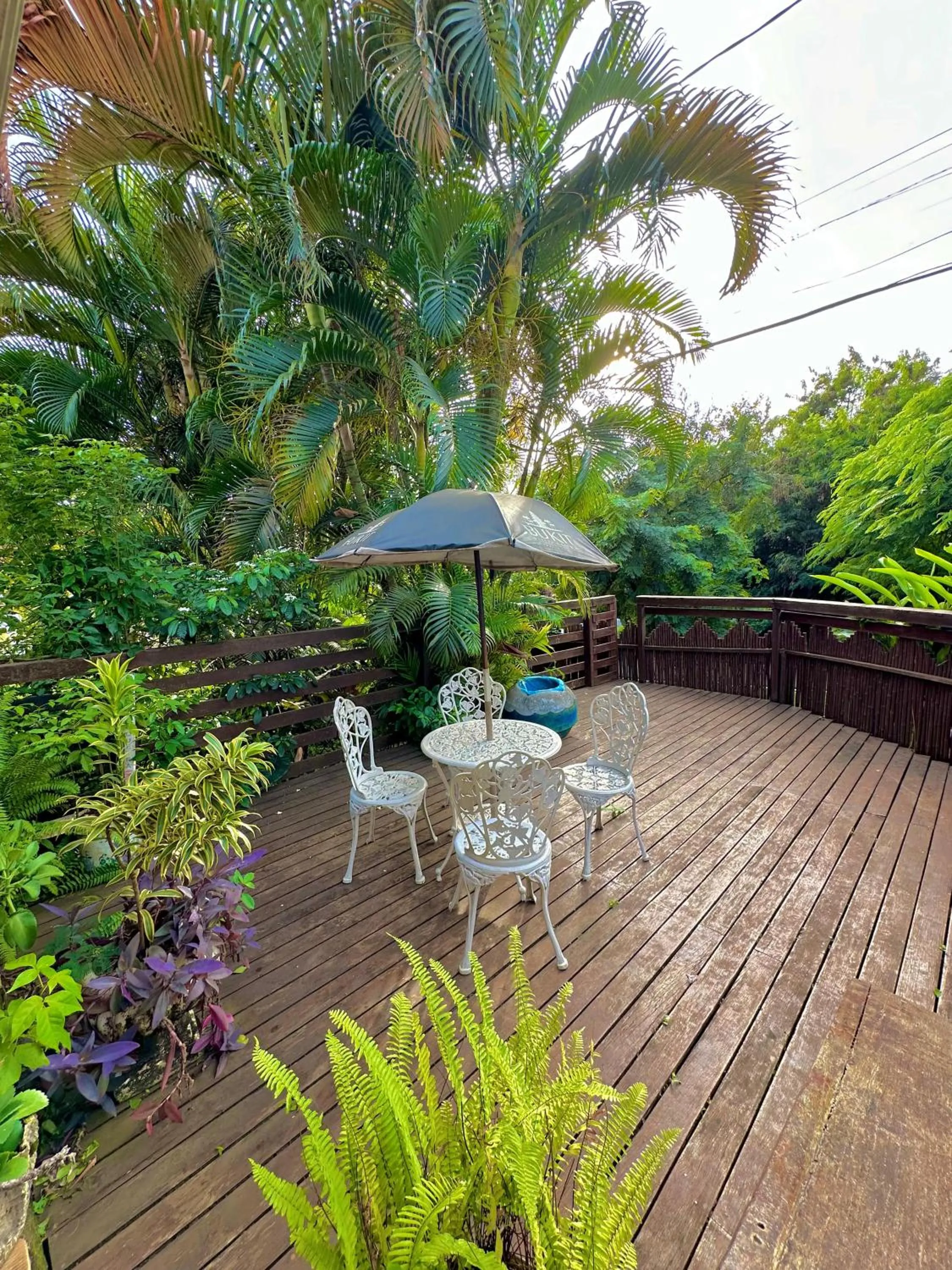 Garden in Pousada do Golfinho Fernando de Noronha
