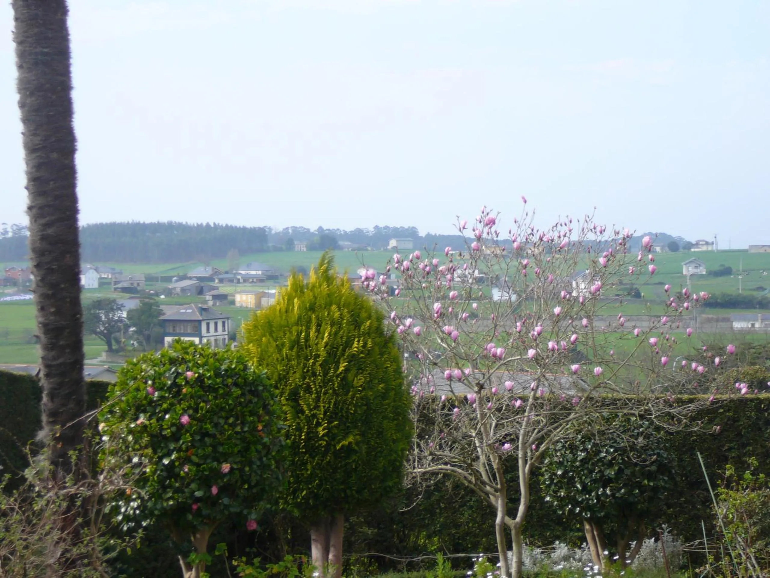 View (from property/room) in Hotel el Pinar