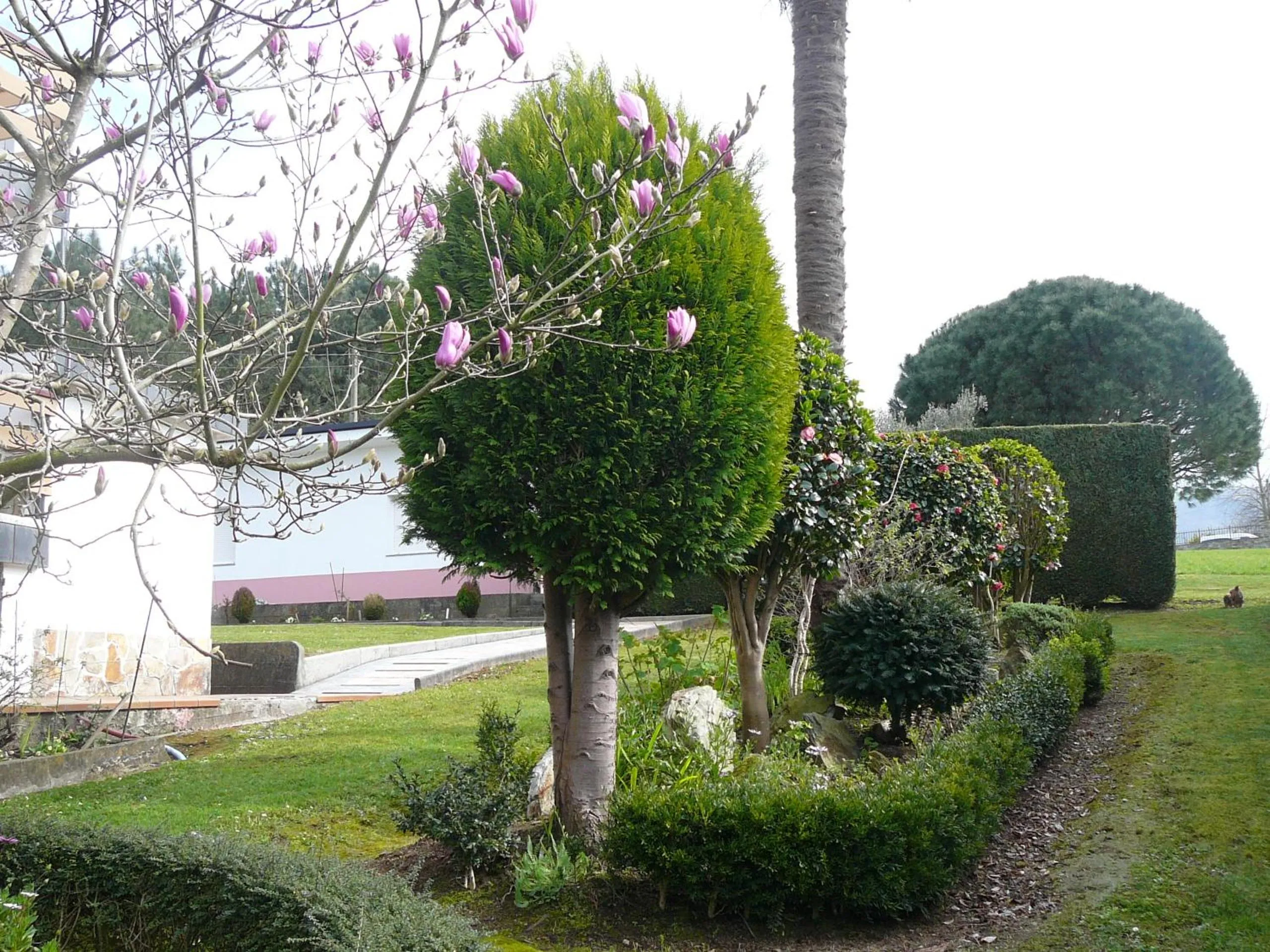 Garden in Hotel el Pinar