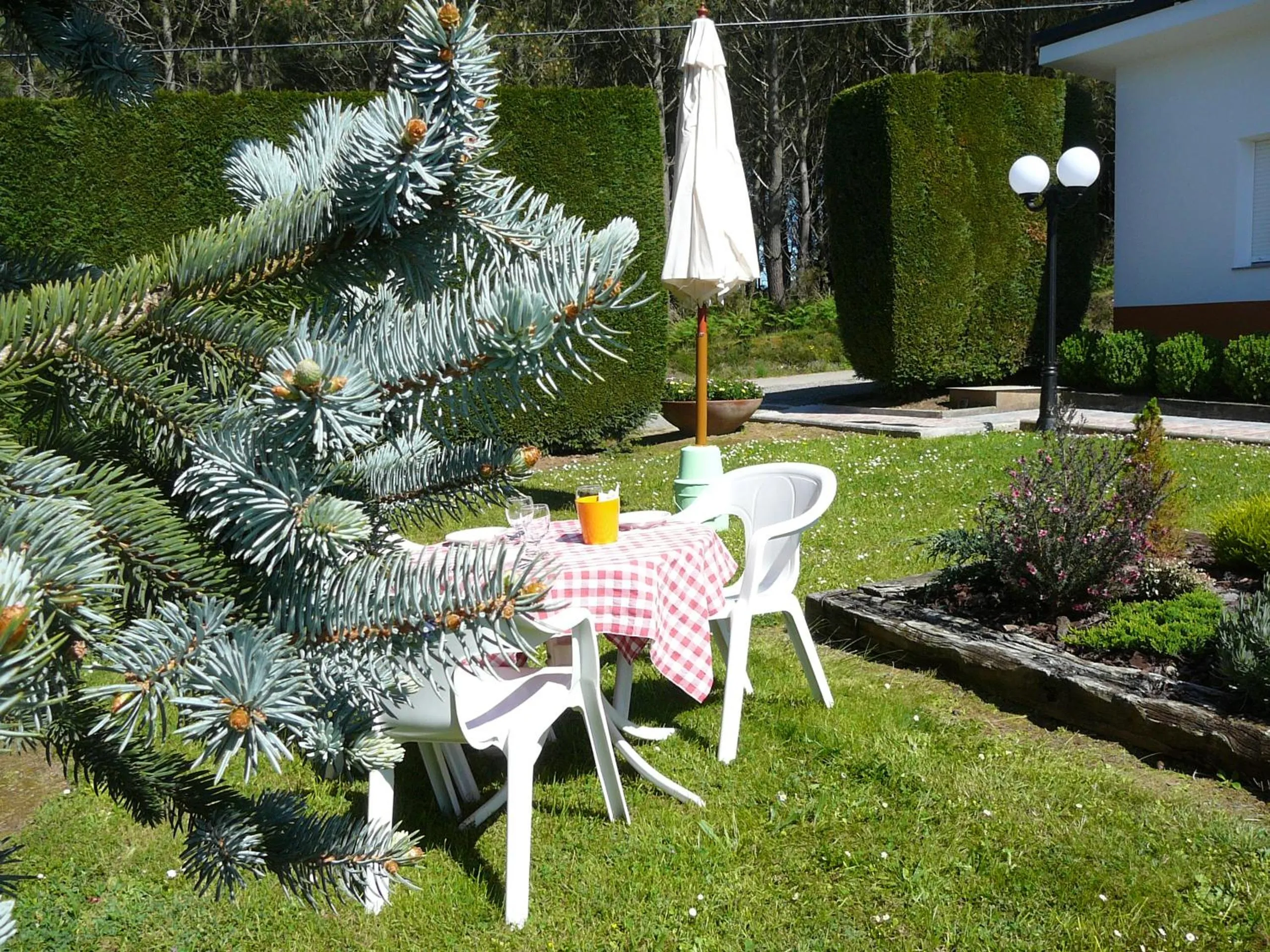 Garden in Hotel el Pinar