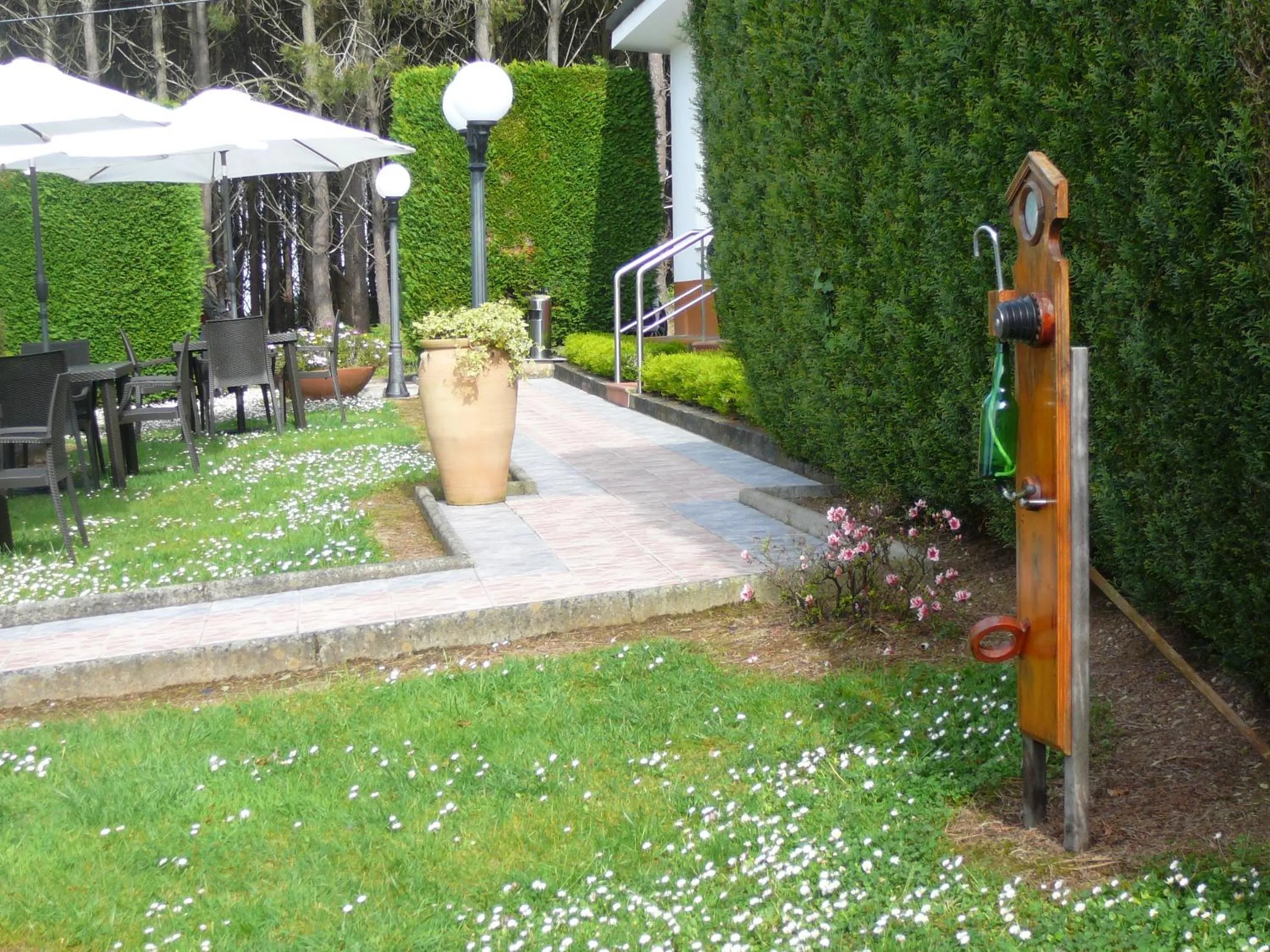 Garden in Hotel el Pinar