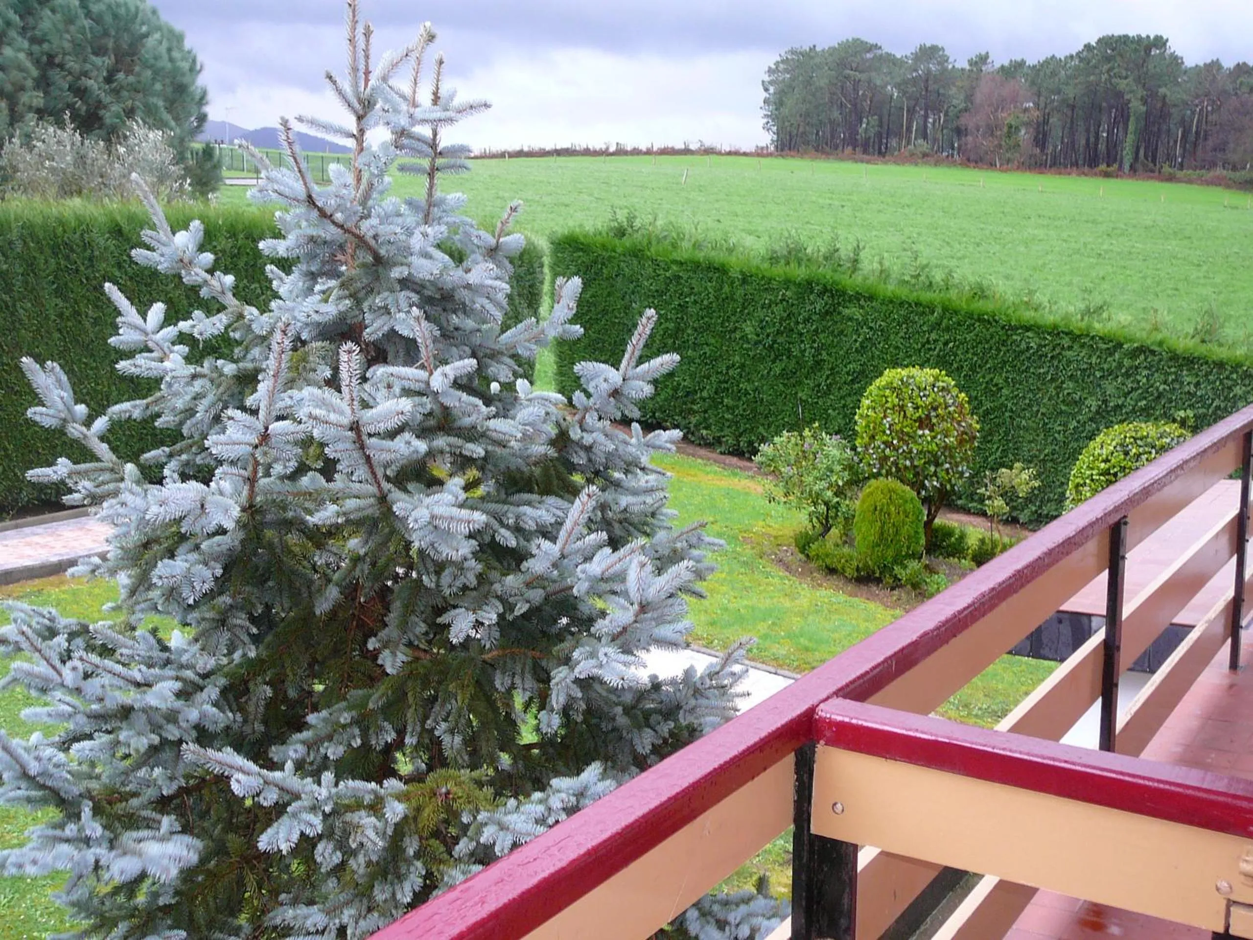 Balcony/Terrace in Hotel el Pinar