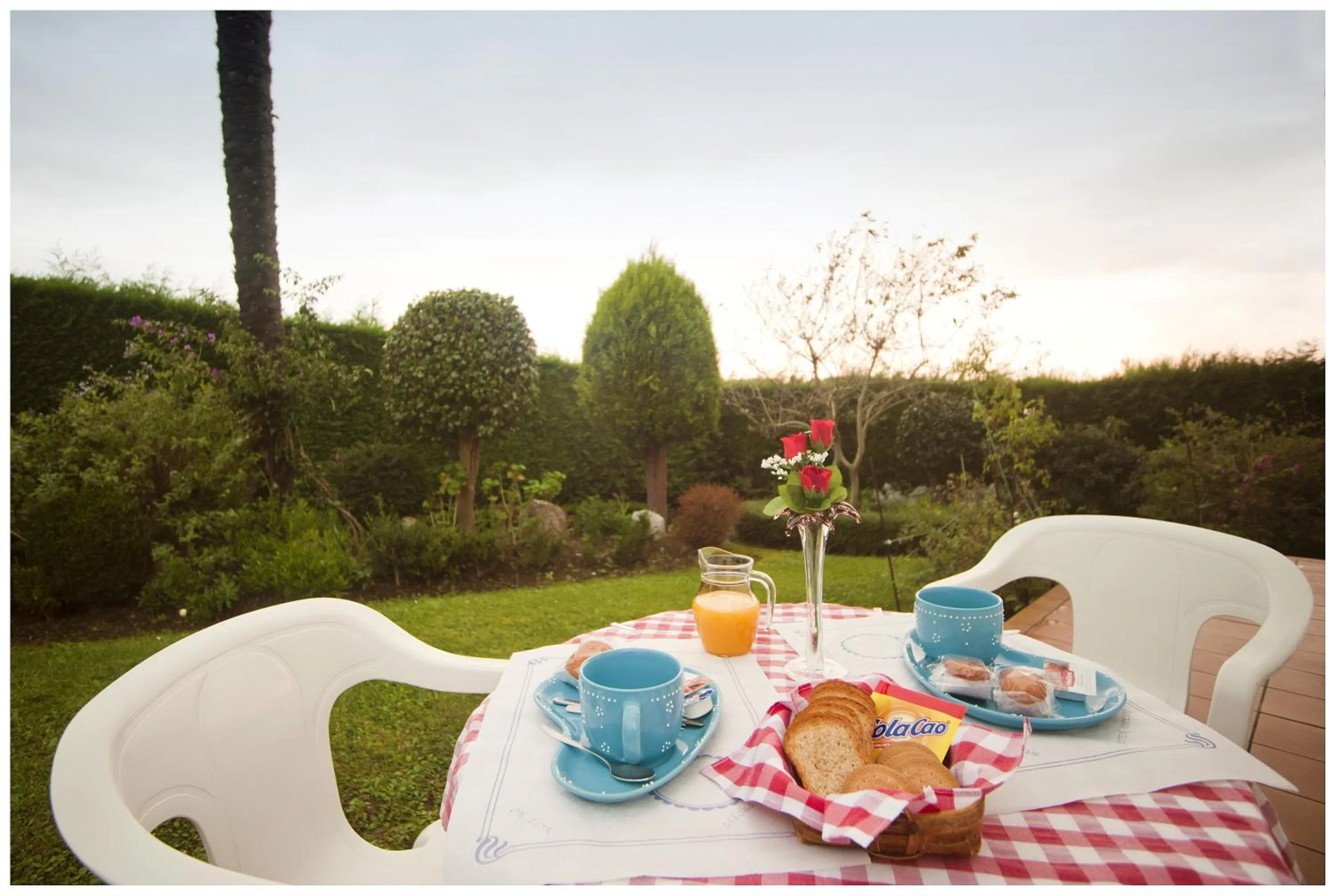 Garden in Hotel el Pinar