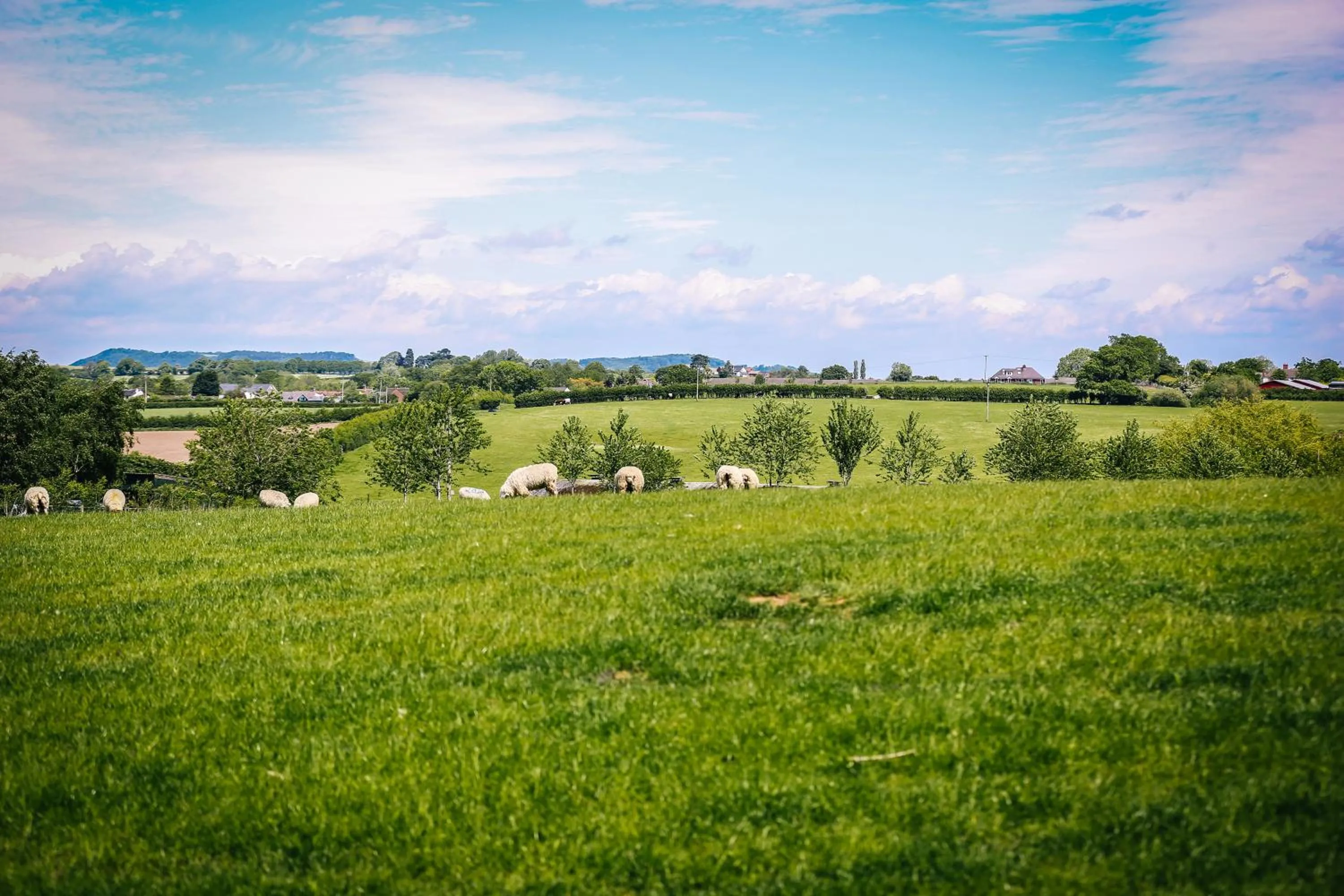 Animals in Millmoor Farm Holidays