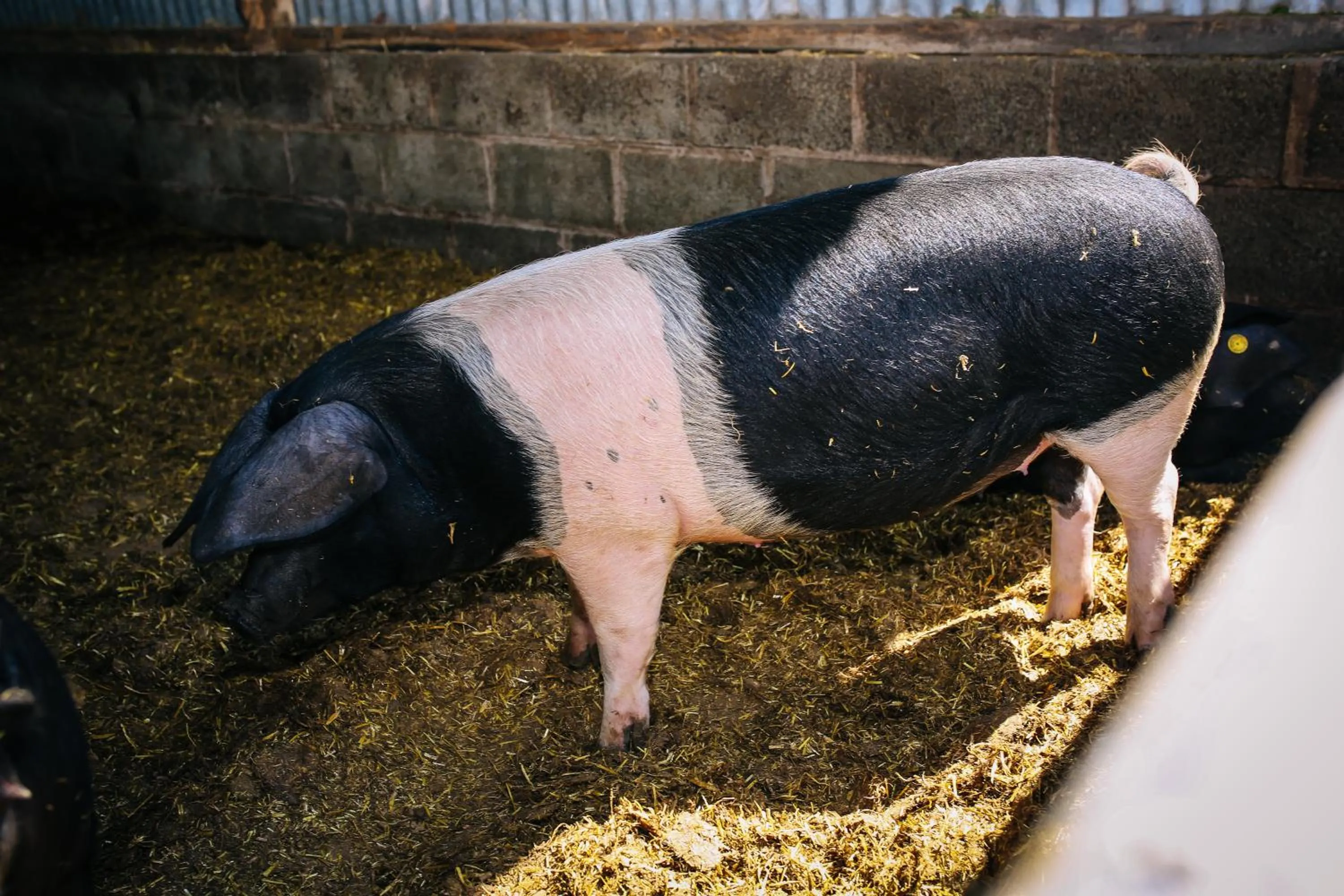 Millmoor Farm Holidays