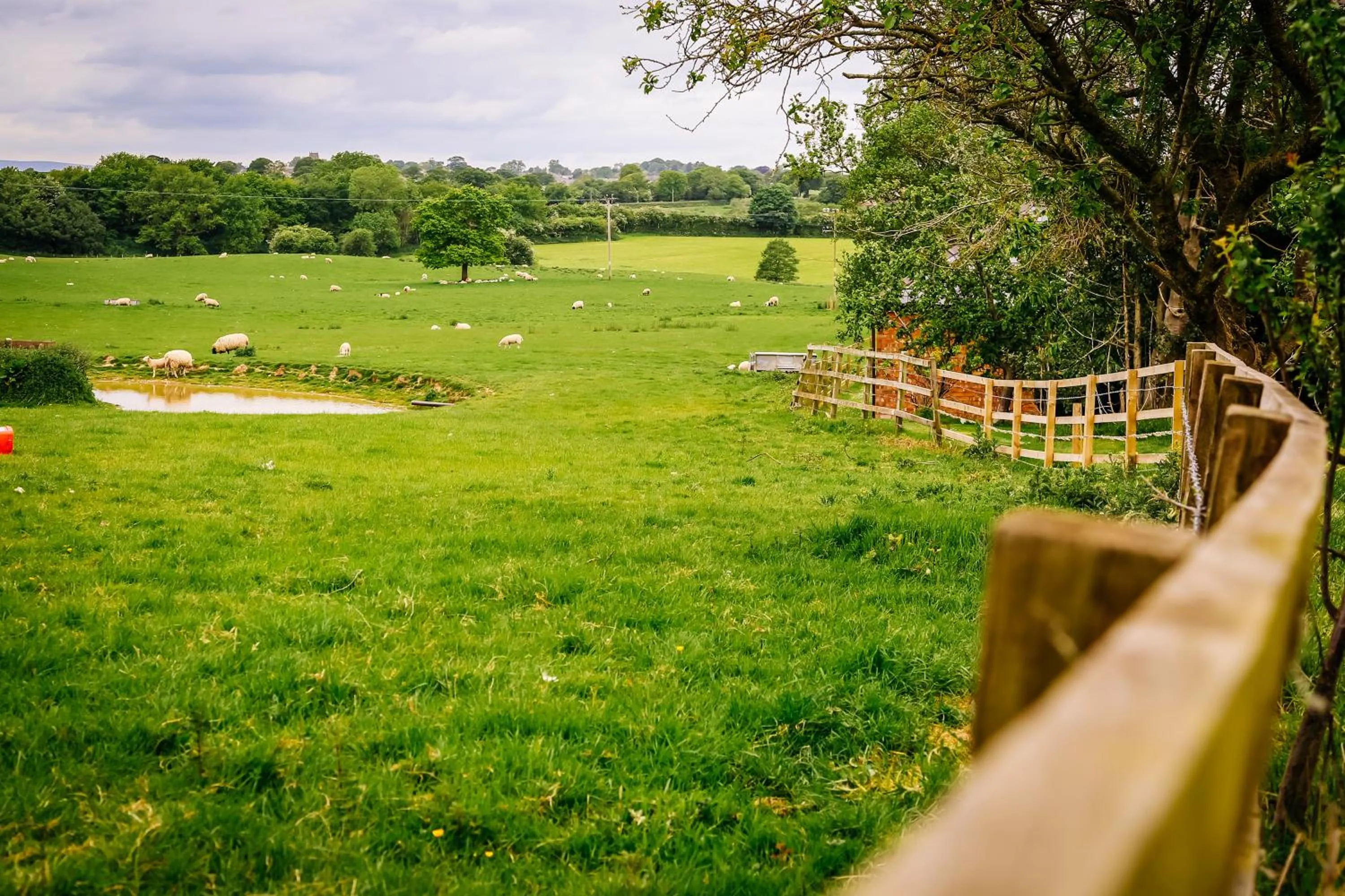 Millmoor Farm Holidays