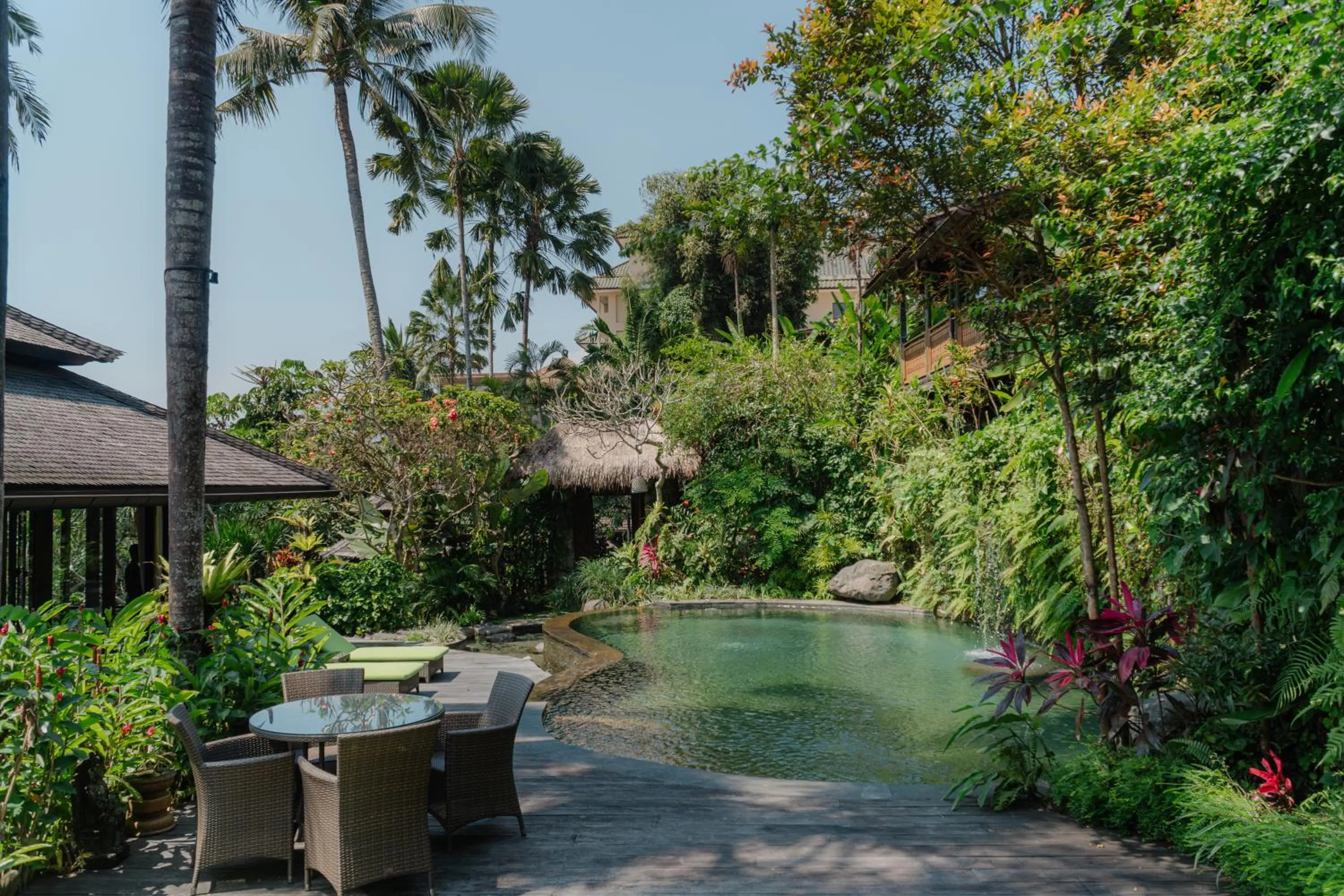 Swimming pool in Lumina Wellness Retreat