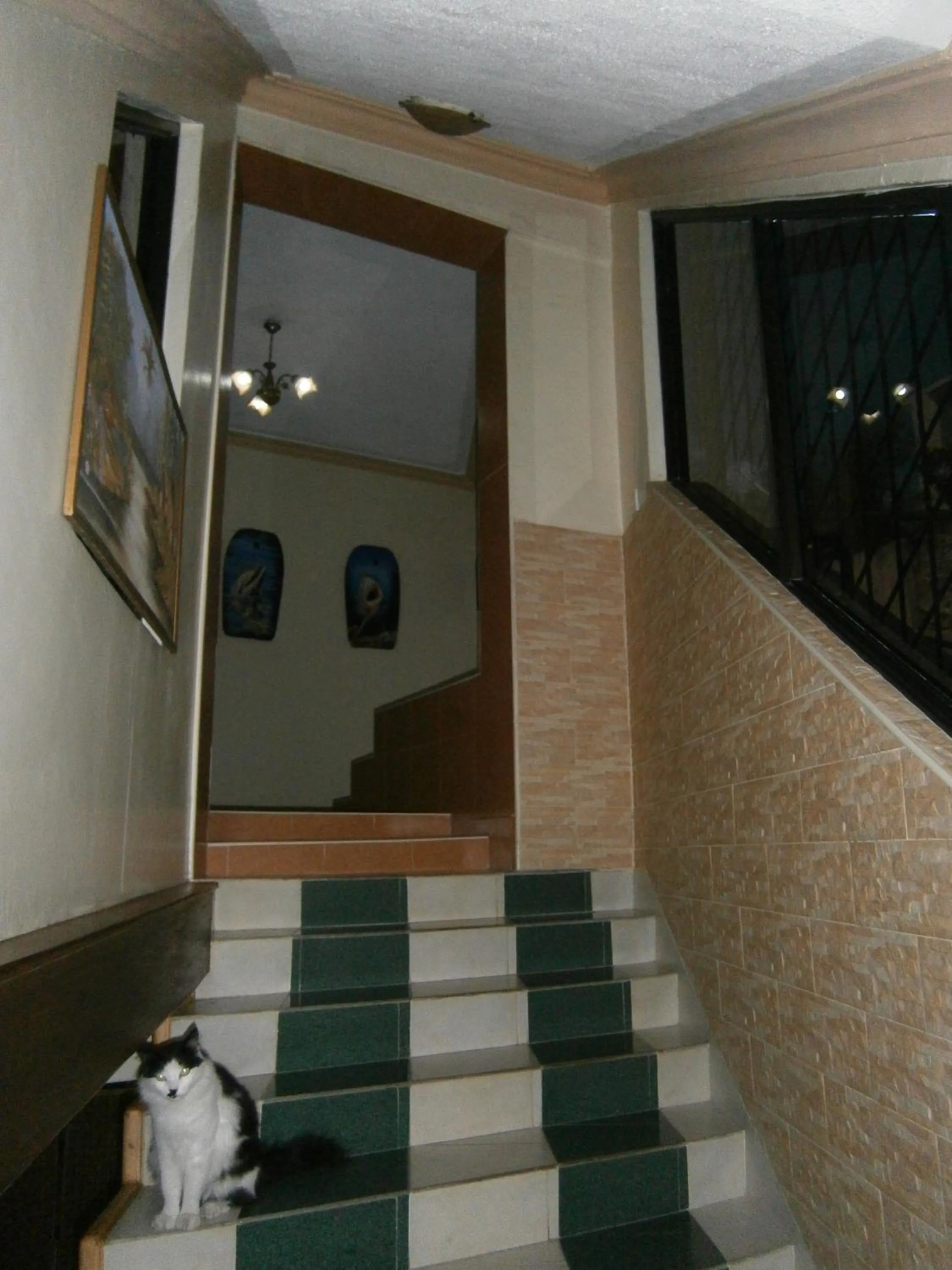 Lobby or reception in Tudor Water Sports Hotel