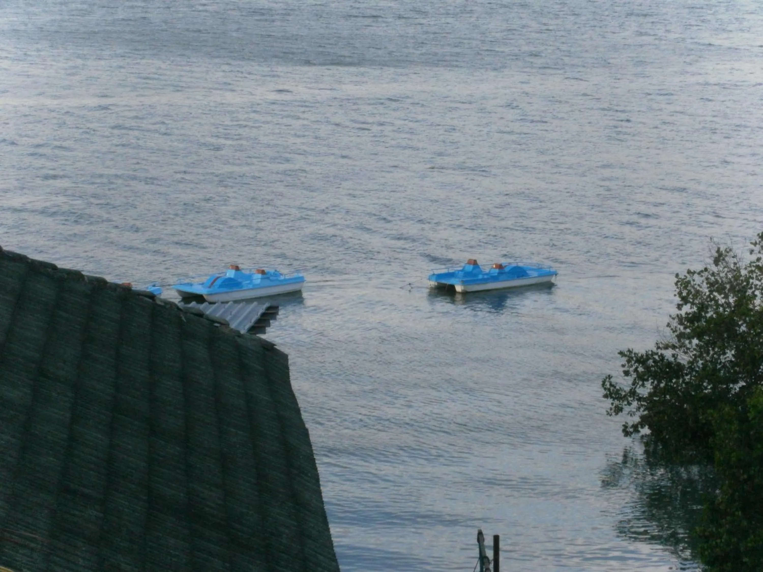 Garden view in Tudor Water Sports Hotel
