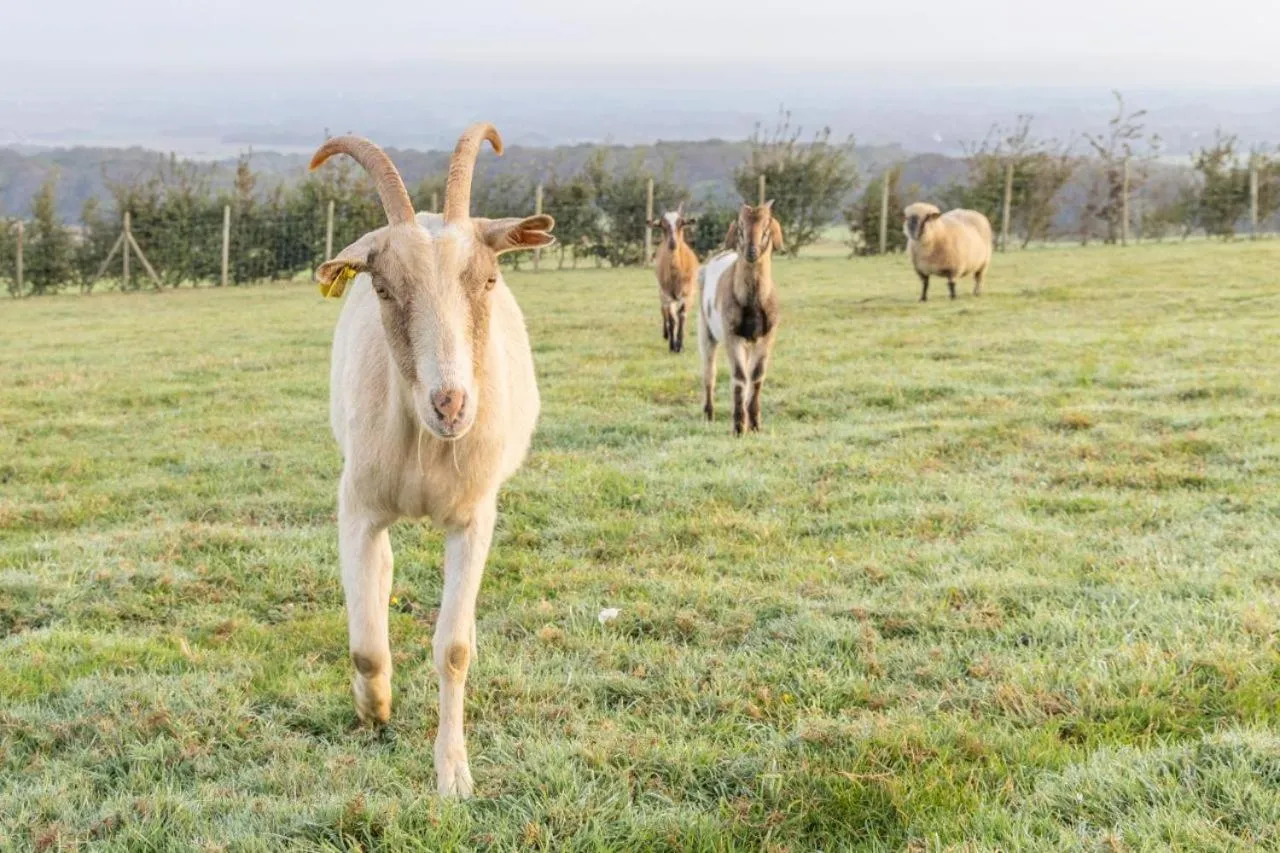 Maison D'hôte La Ferme Du Grand Air