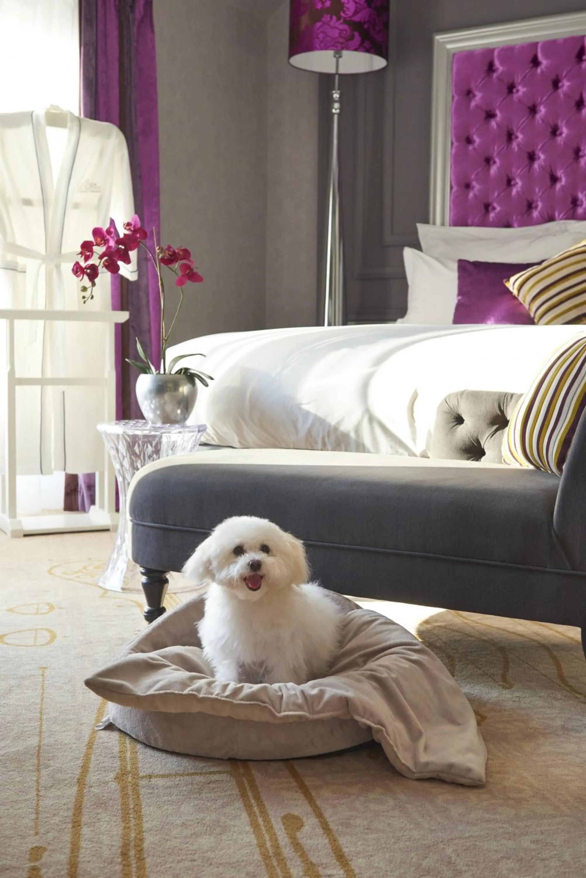 Pets in Aria Hotel Budapest by Library Hotel Collection