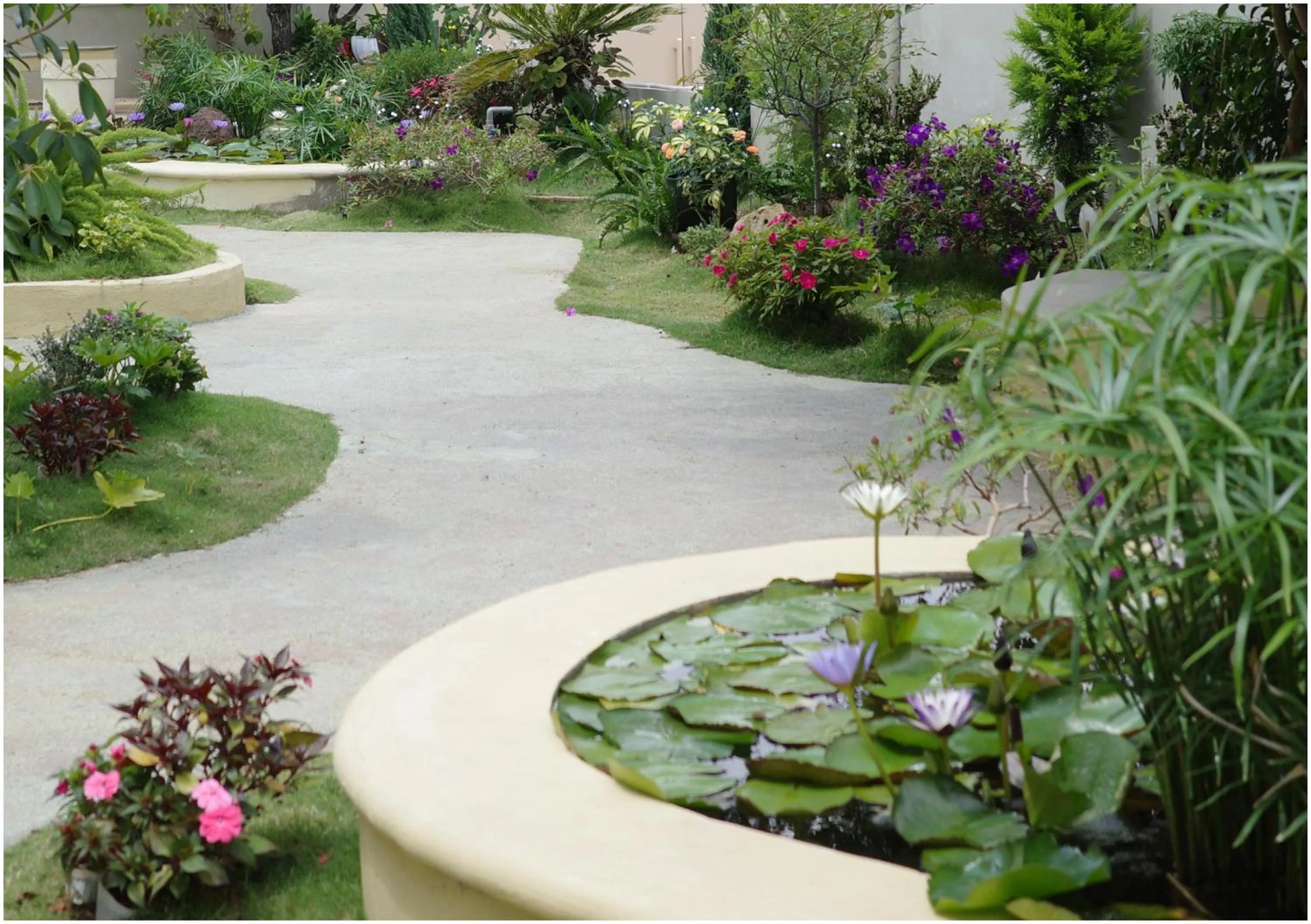 Garden in Le Macaron Garden Stay - City Boutique Hotel Da Lat