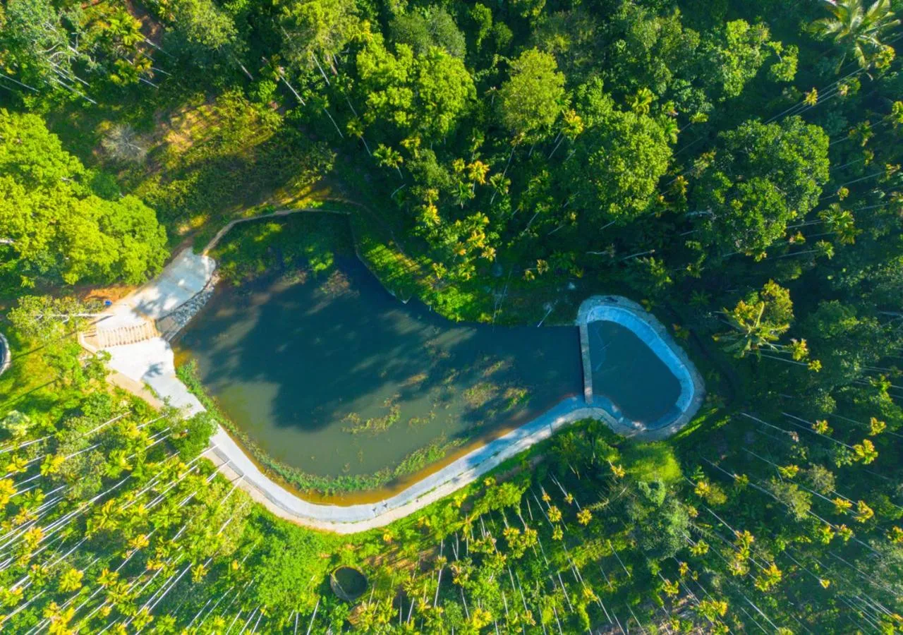 Natural landscape in Ushasree Wayanad Premium Pool Resort by VOYE HOMES