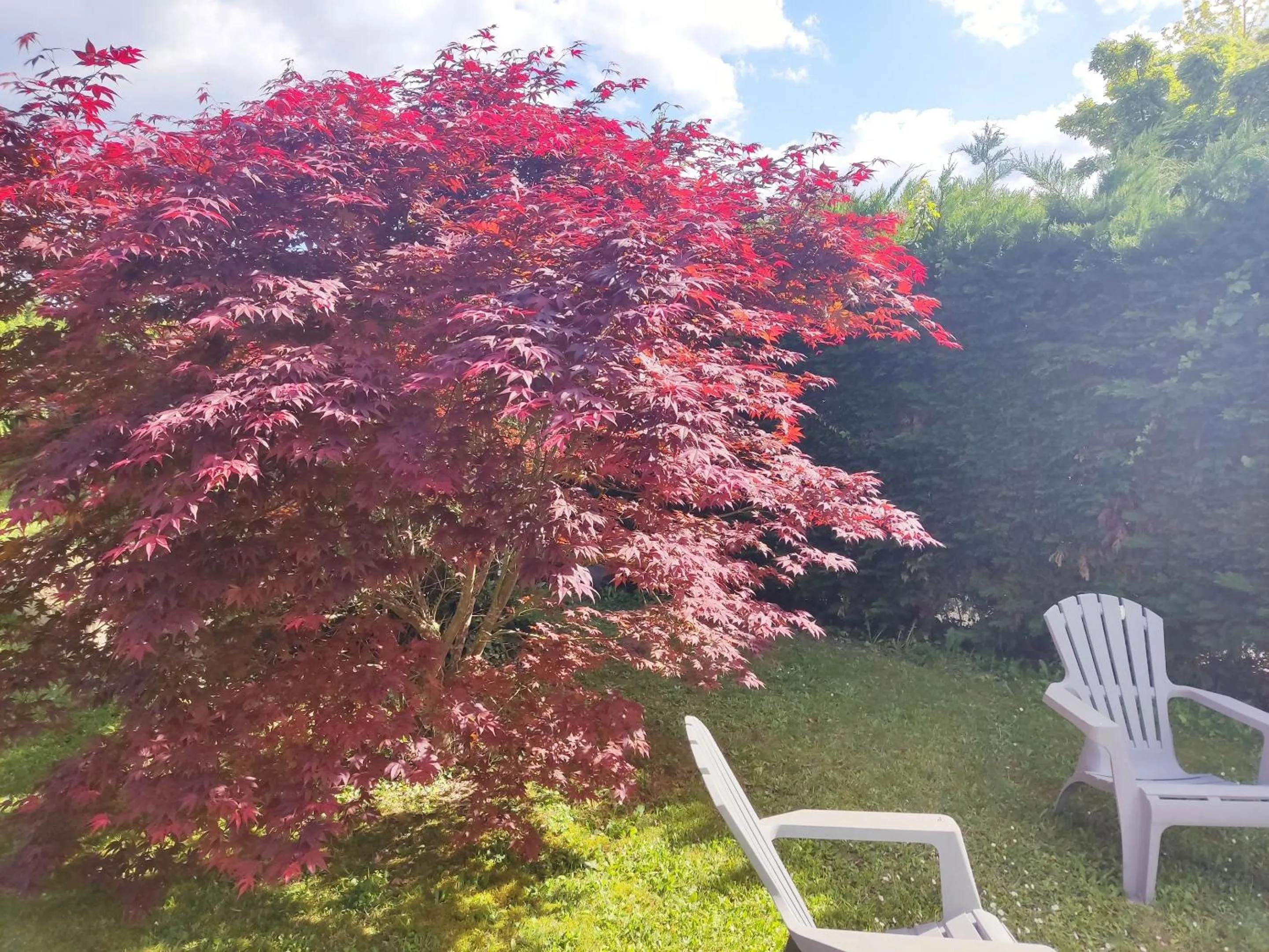 Property building in Chez Isa et Dens