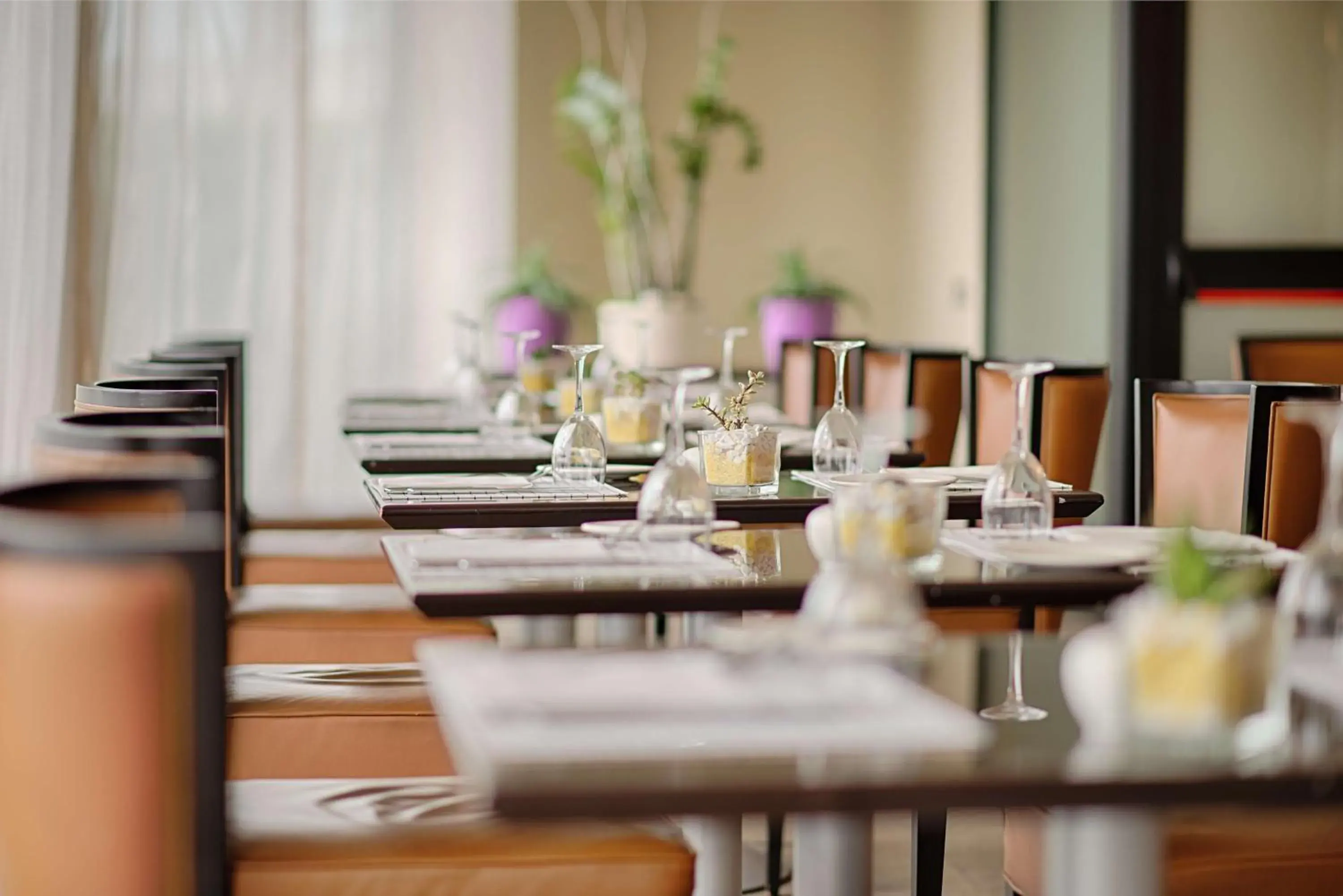 Restaurant/places to eat in NH Linate Restaurant/places to eat in NH Linate