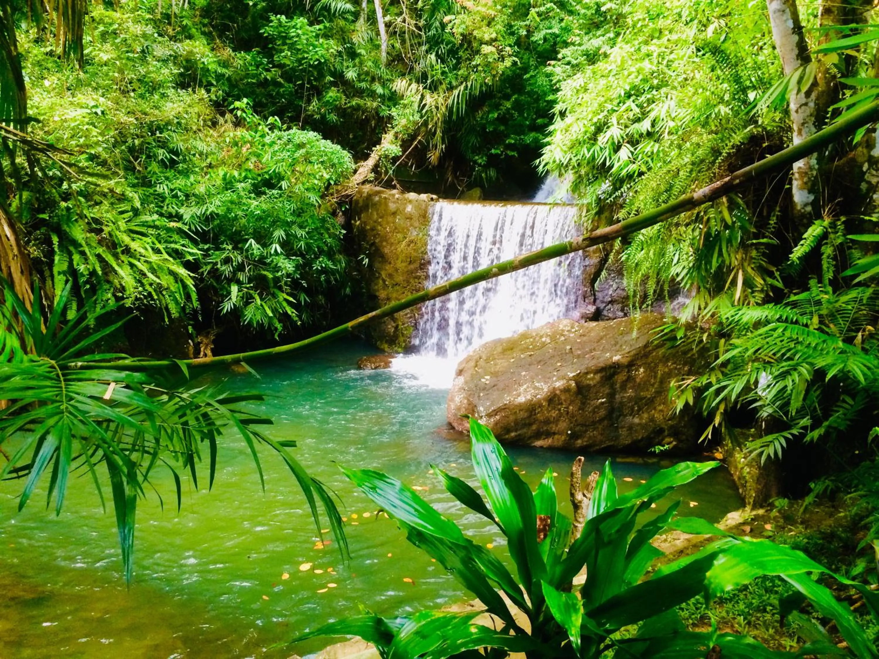 Natural landscape in Wijaya Holiday Resort
