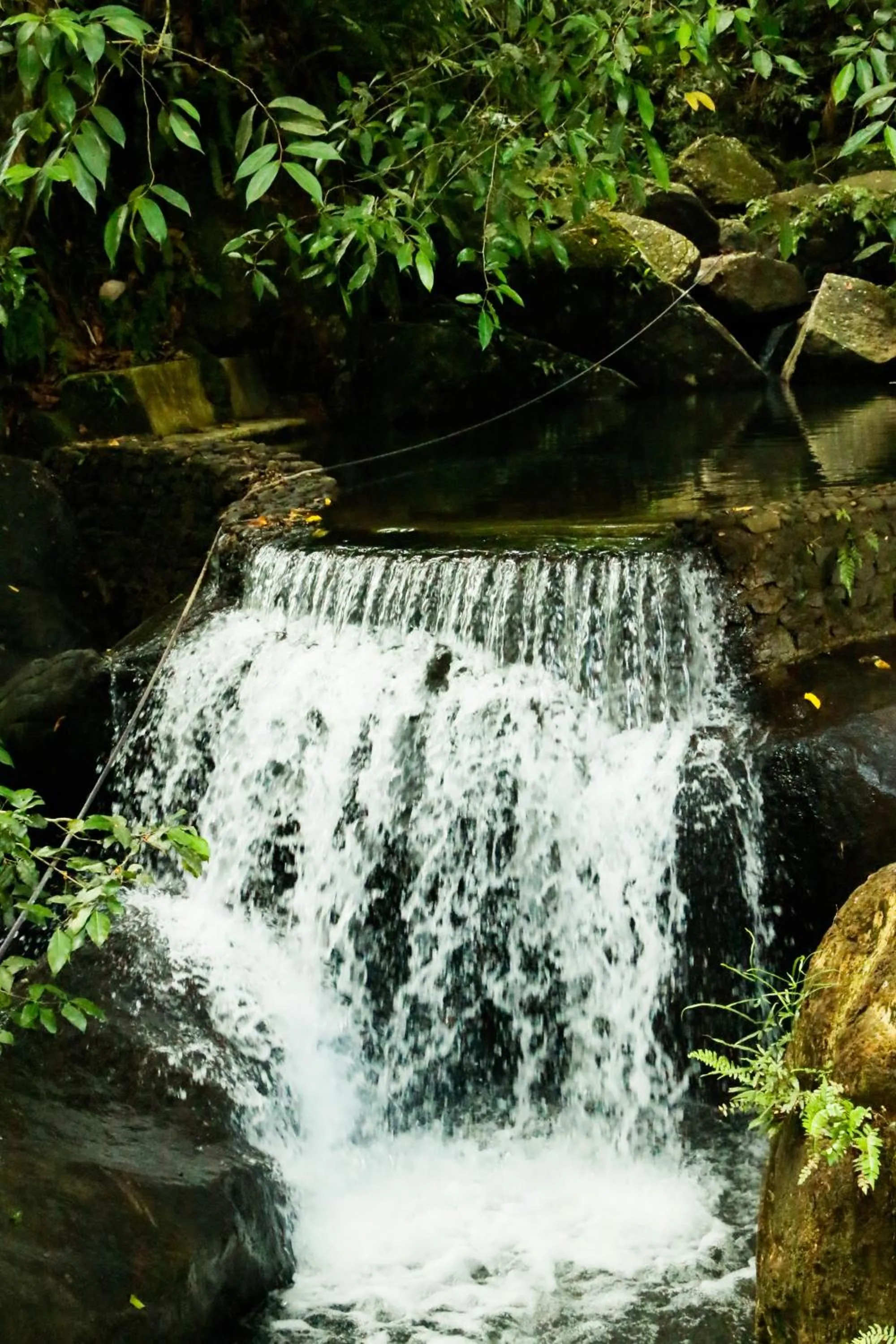 Natural landscape in Wijaya Holiday Resort