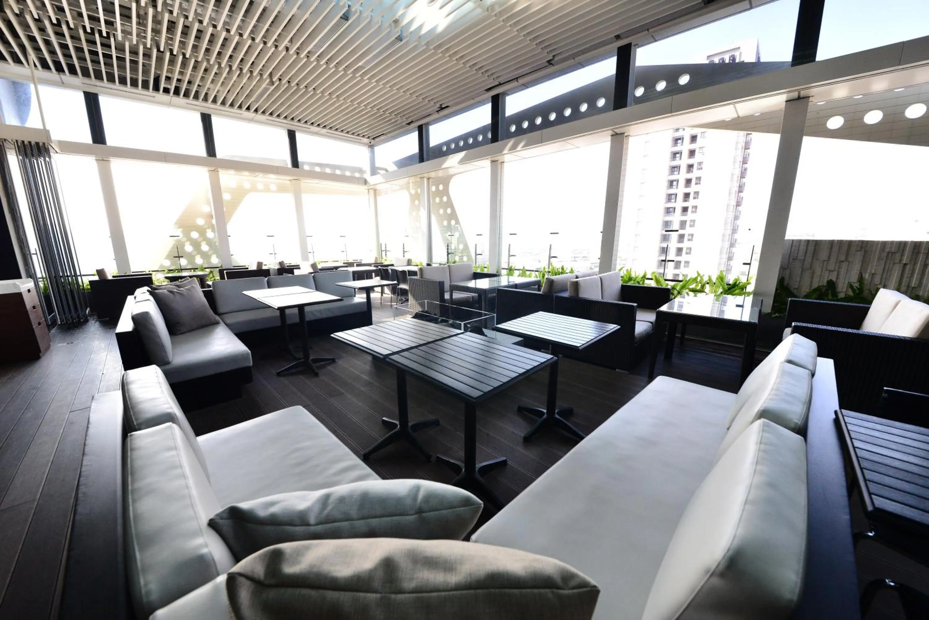 Restaurant/places to eat in Treeart Hotel