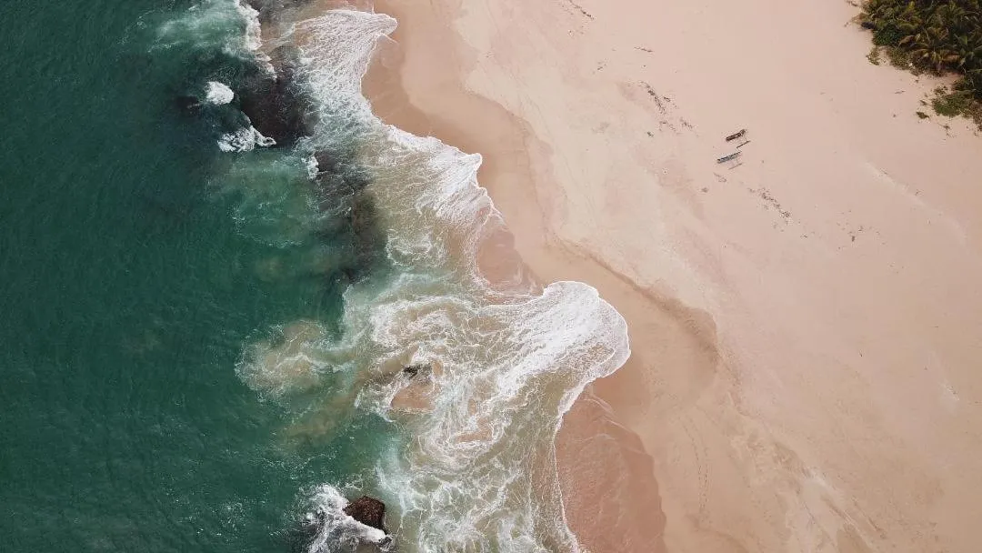 Ceylon Surf Guest and Restaurant