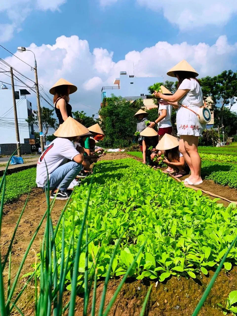 Activities in Jolie Villa Hoi An
