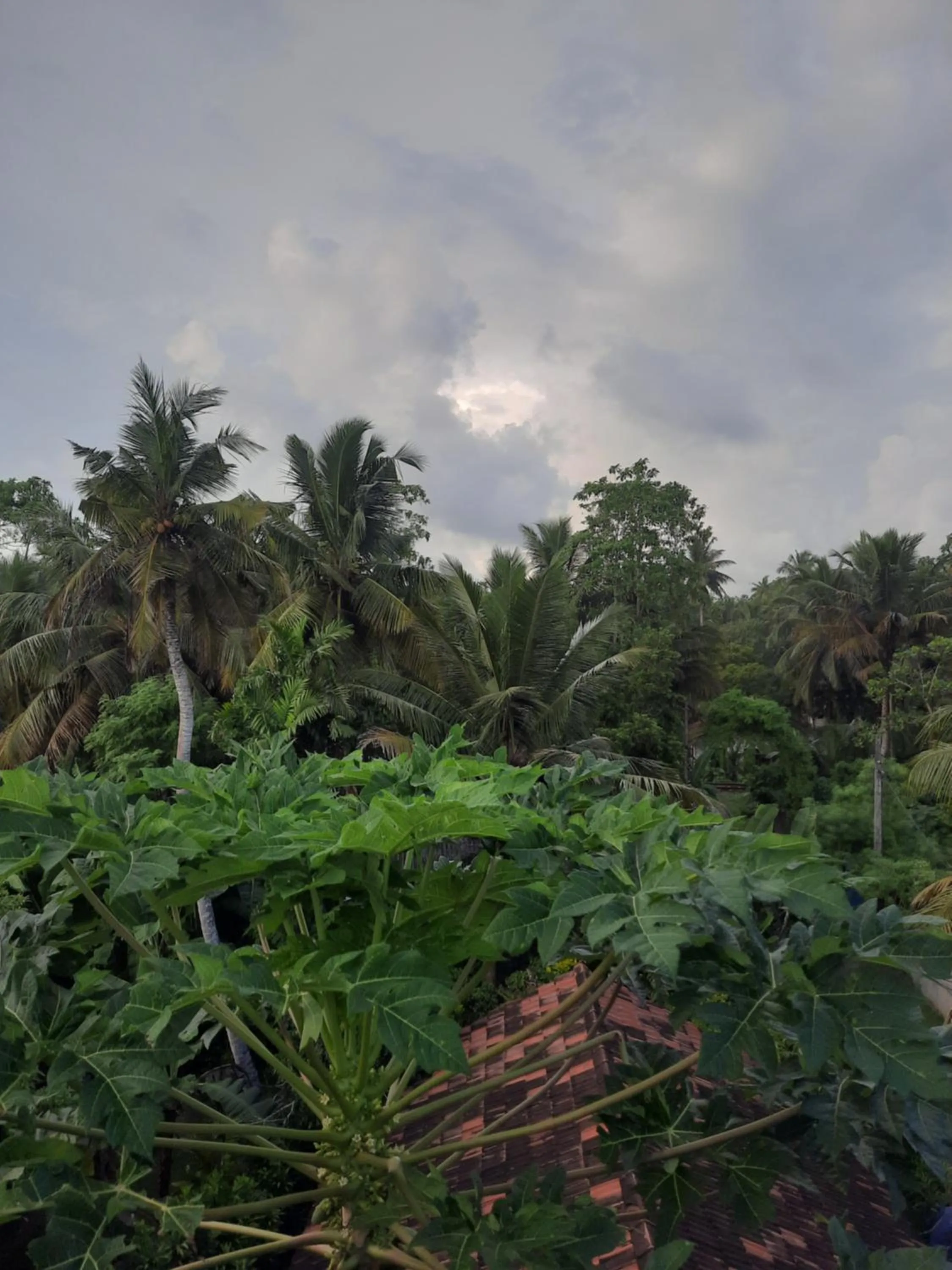 White Surfing Beach Resort