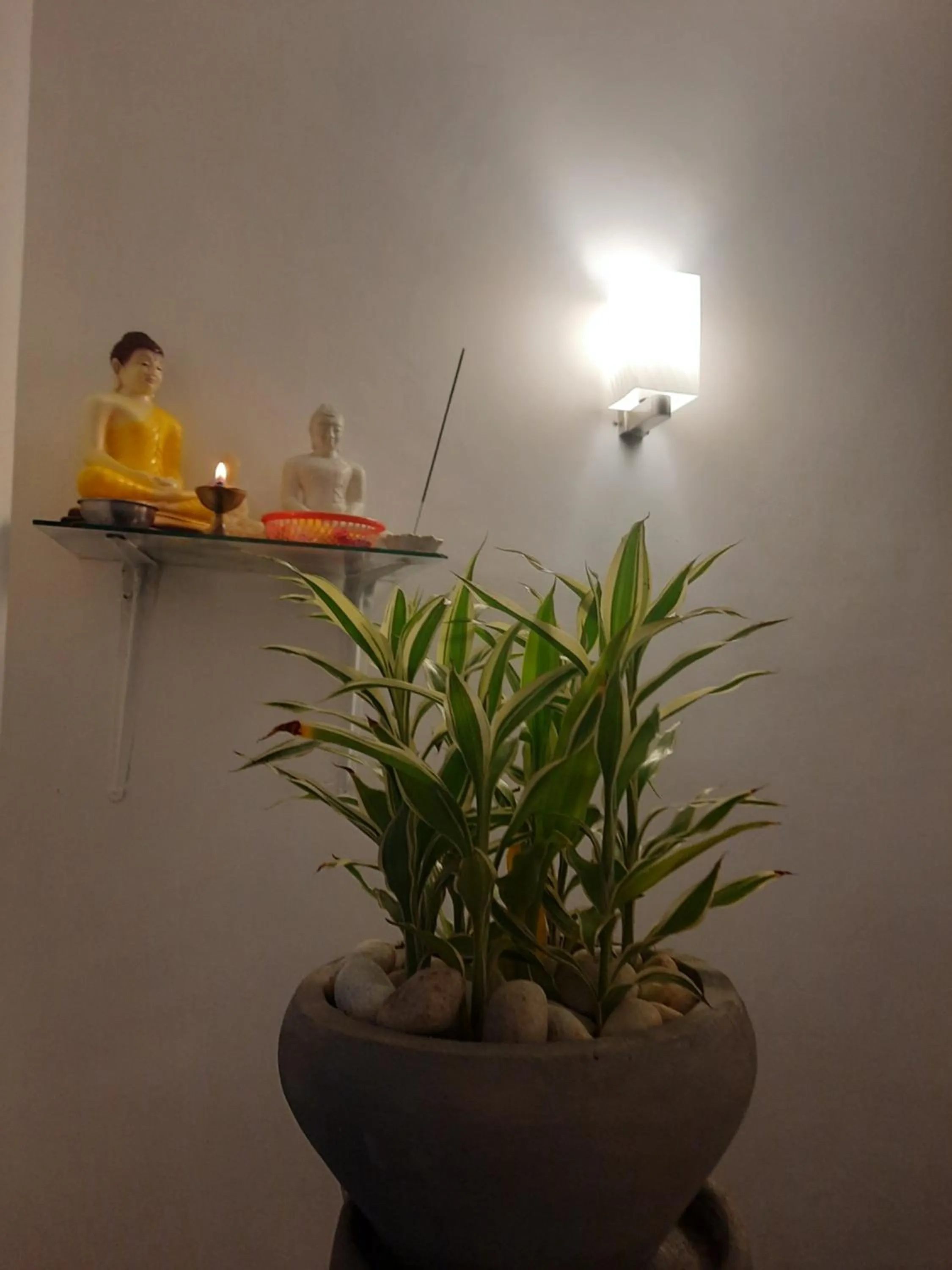 White Surfing Beach Resort