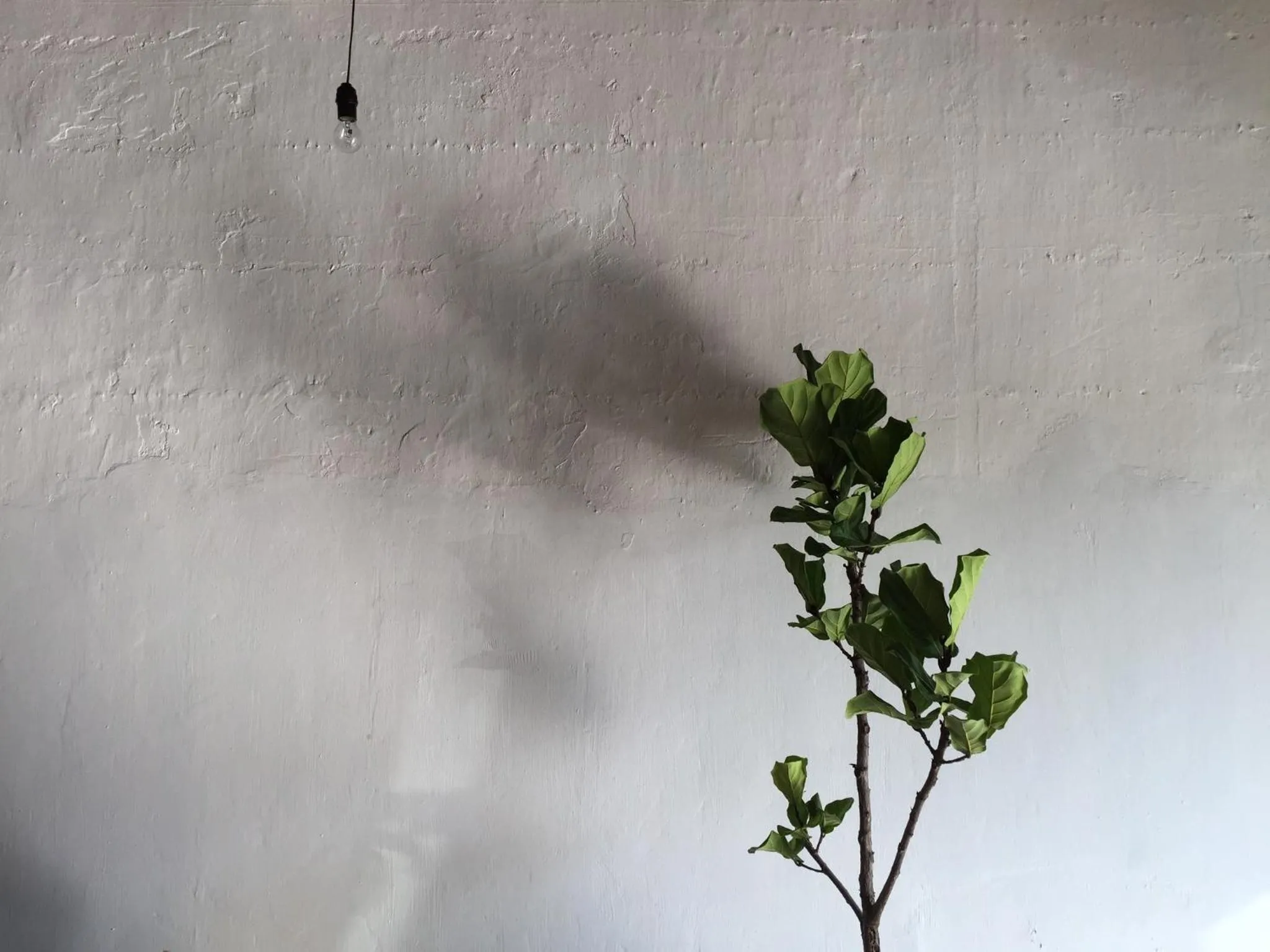 Decorative detail in The Frame Guesthouse