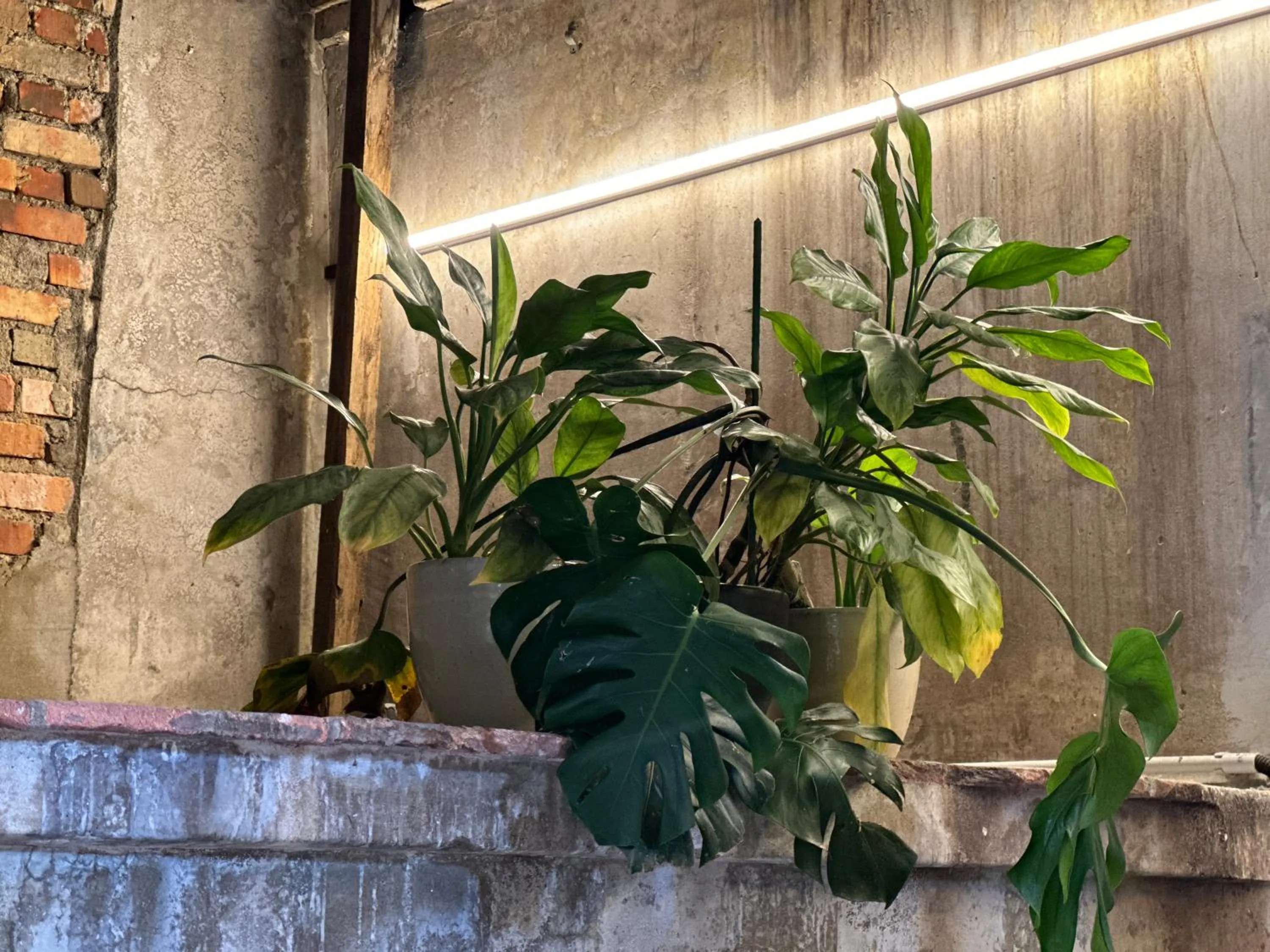 Property building in The Frame Guesthouse