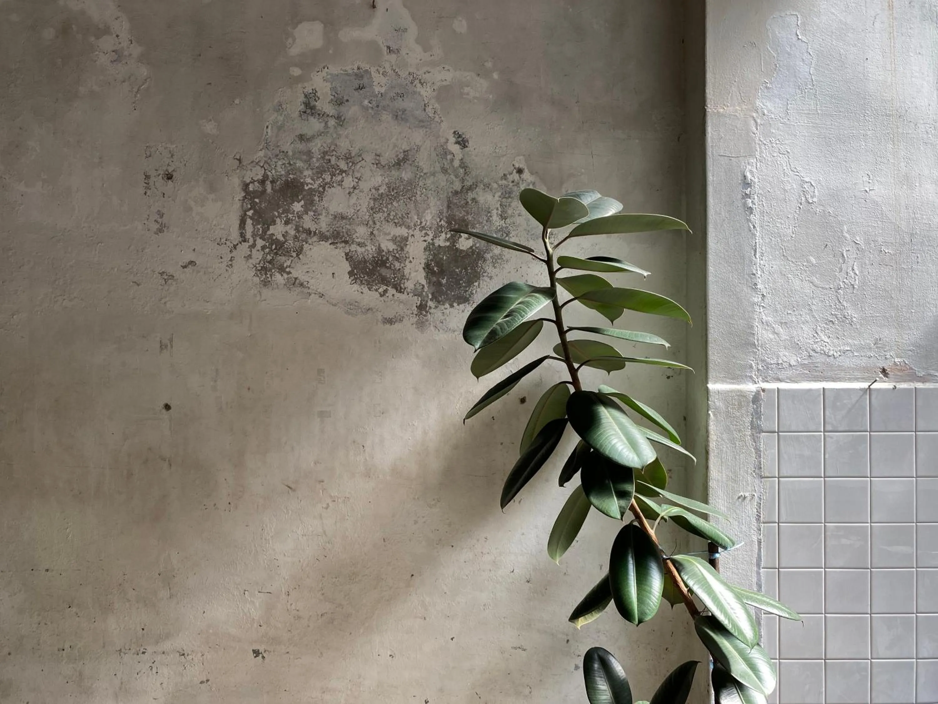 Property building in The Frame Guesthouse