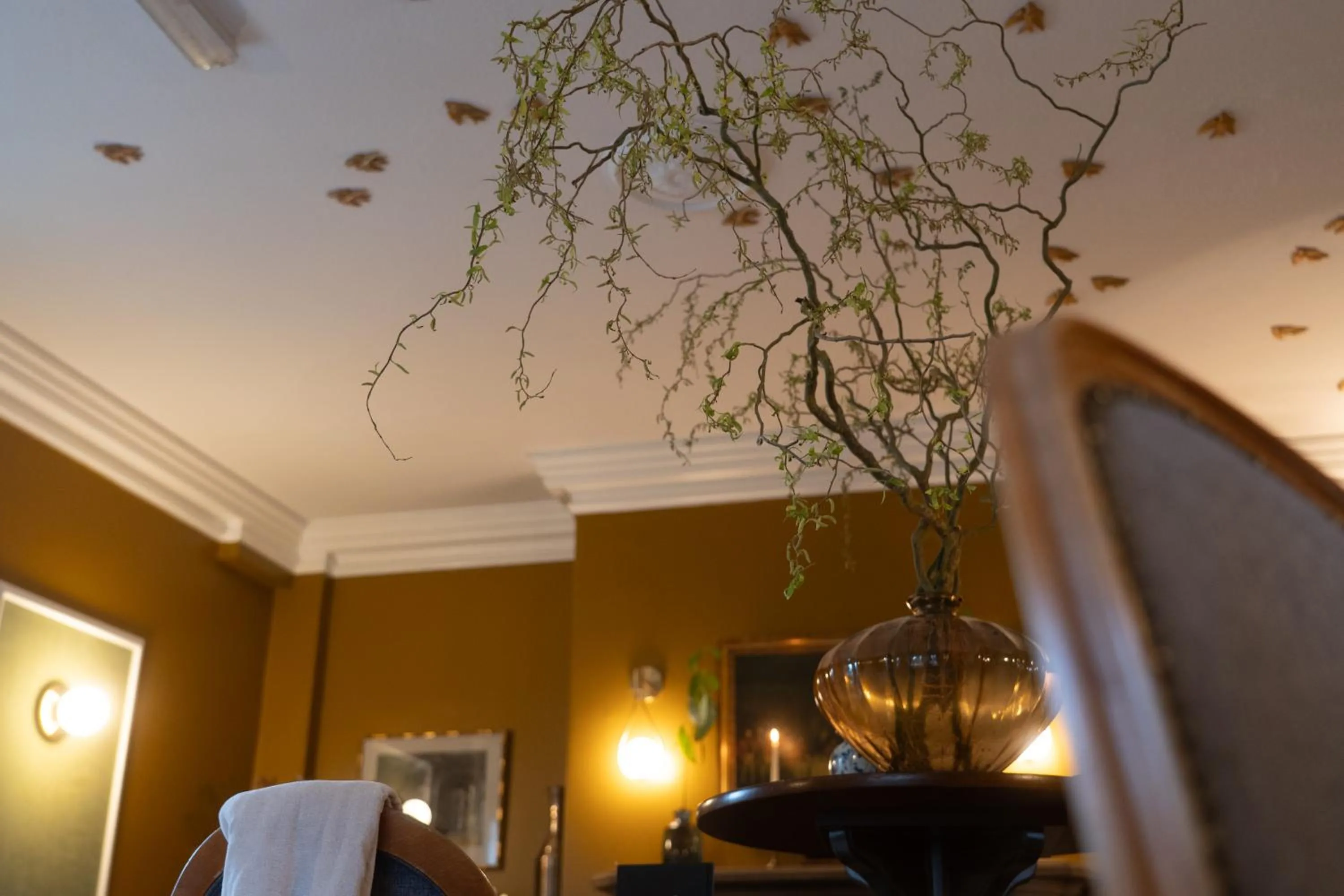 Restaurant/places to eat in The Duke Hotel