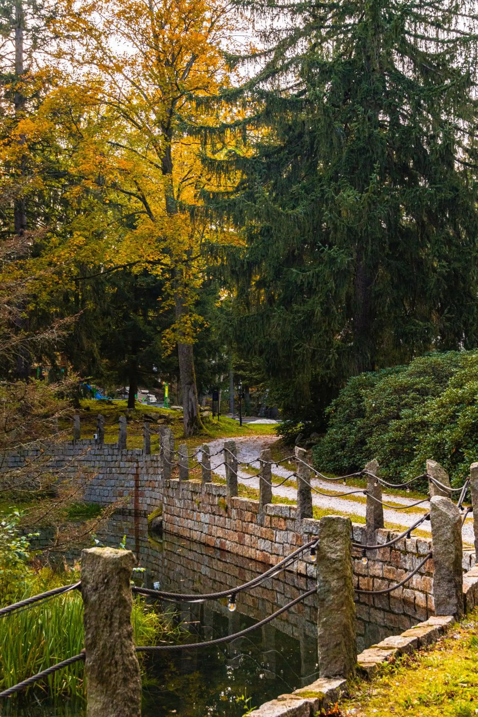 Natural landscape in Apartamenty Silva Szklarska Poręba