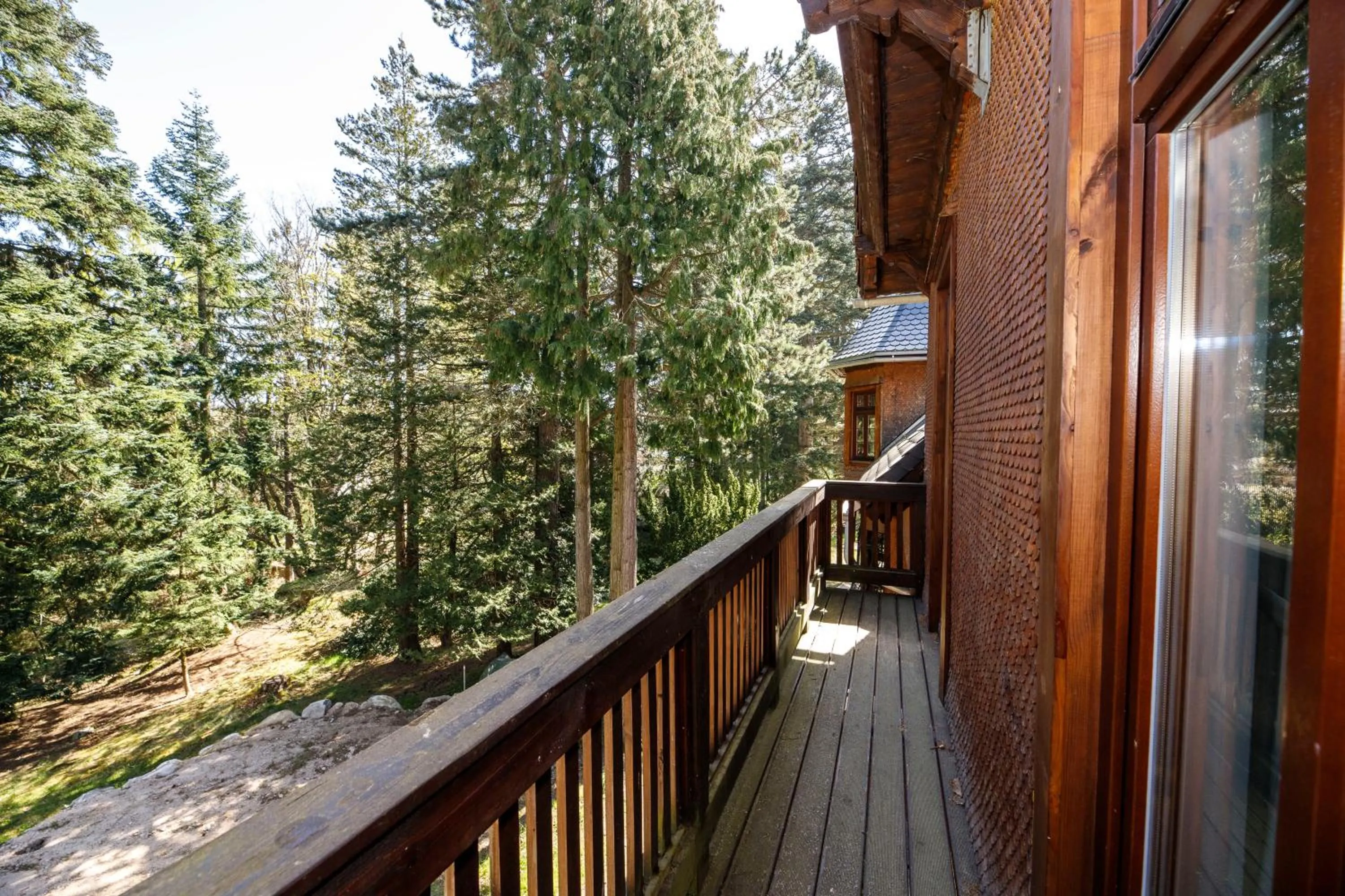 Balcony/Terrace in Apartamenty Silva Szklarska Poręba