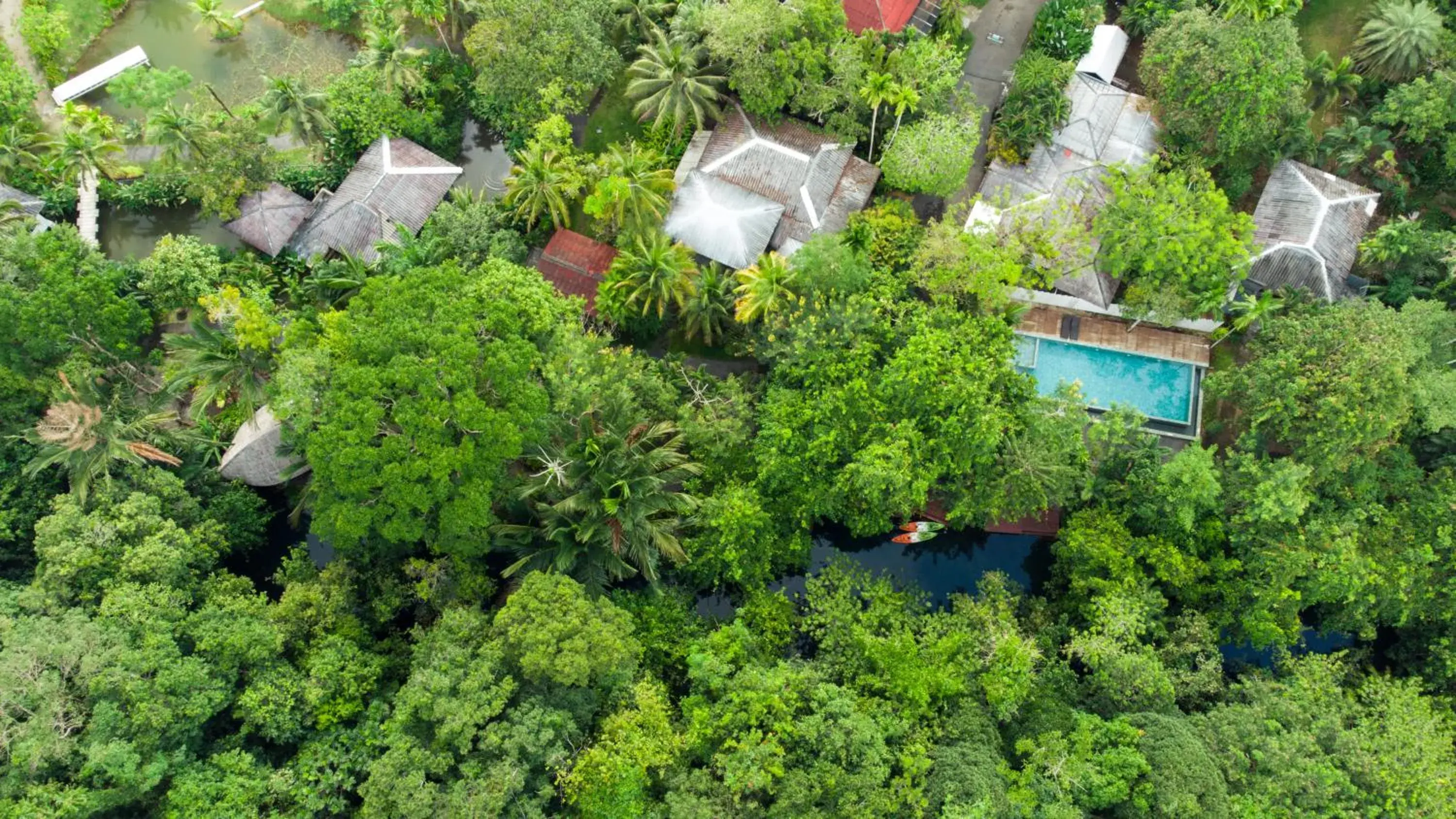 Bird's eye view in Blu Monkey Pooltara Krabi Hotel & Villas Pet Friendly Bird's eye view in Blu Monkey Pooltara Krabi Hotel & Villas Pet Friendly