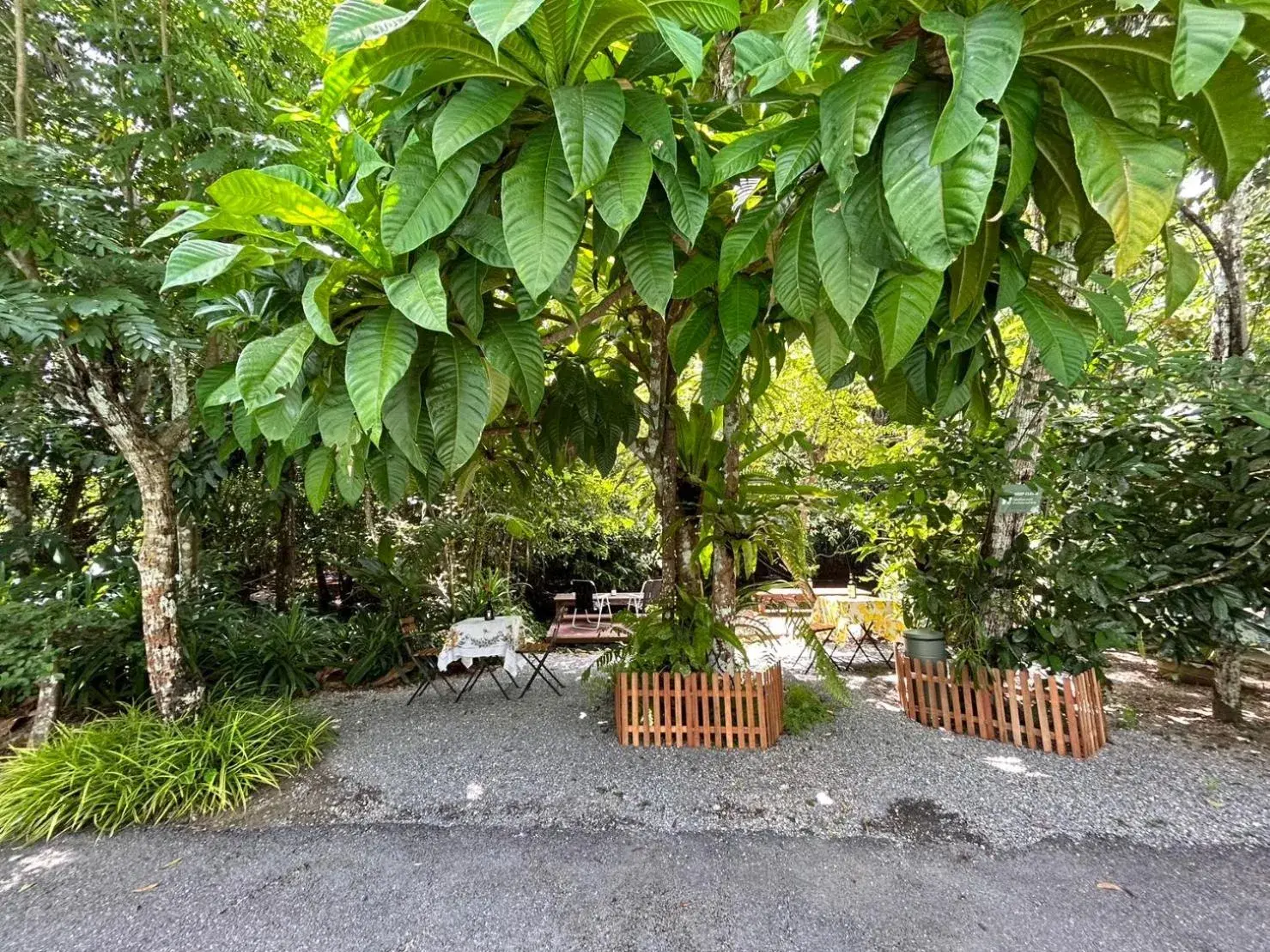 Restaurant/places to eat in Blu Monkey Pooltara Krabi Hotel & Villas Pet Friendly Restaurant/places to eat in Blu Monkey Pooltara Krabi Hotel & Villas Pet Friendly