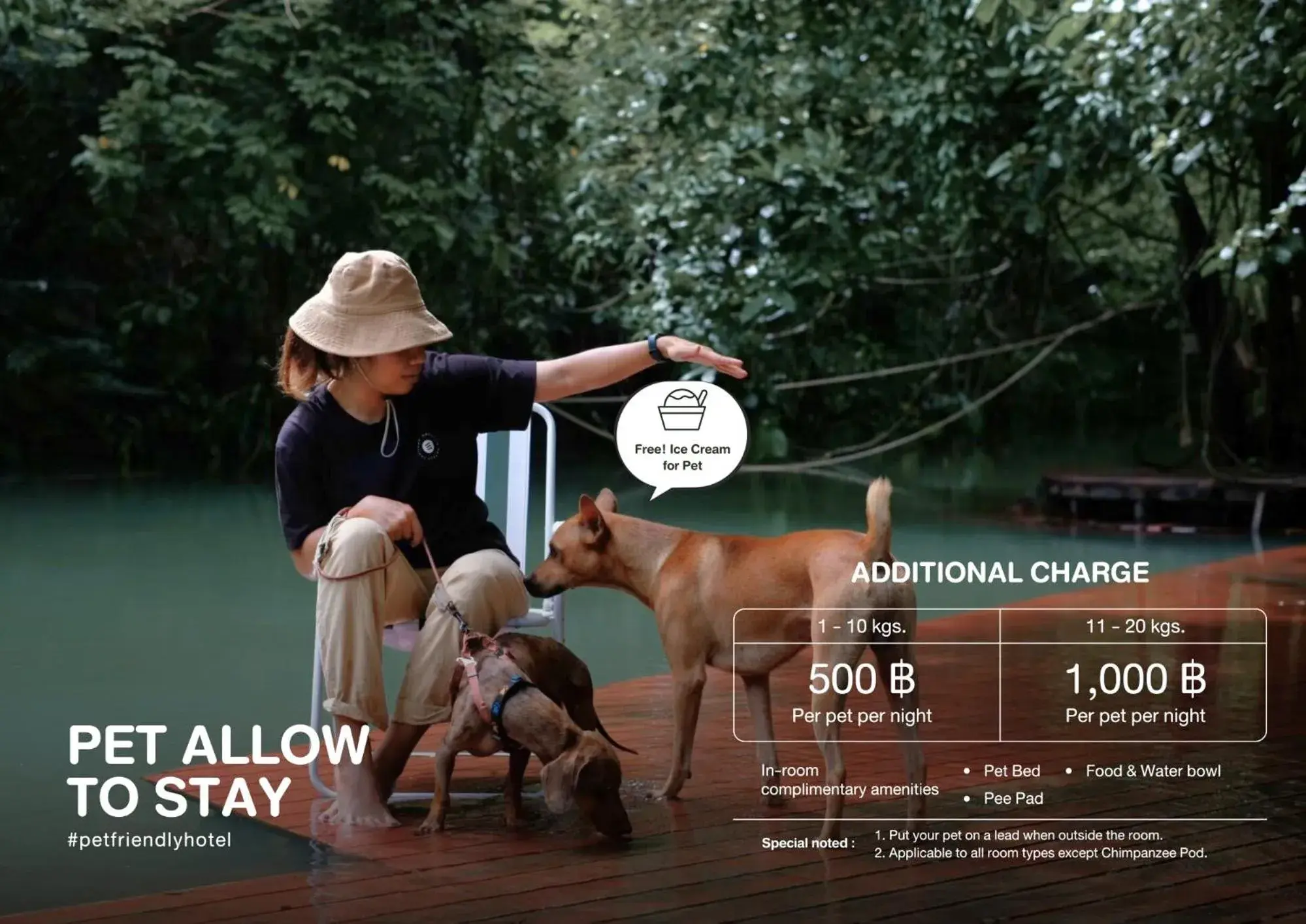 Blu Monkey Pooltara Krabi Hotel & Villas Pet Friendly Blu Monkey Pooltara Krabi Hotel & Villas Pet Friendly