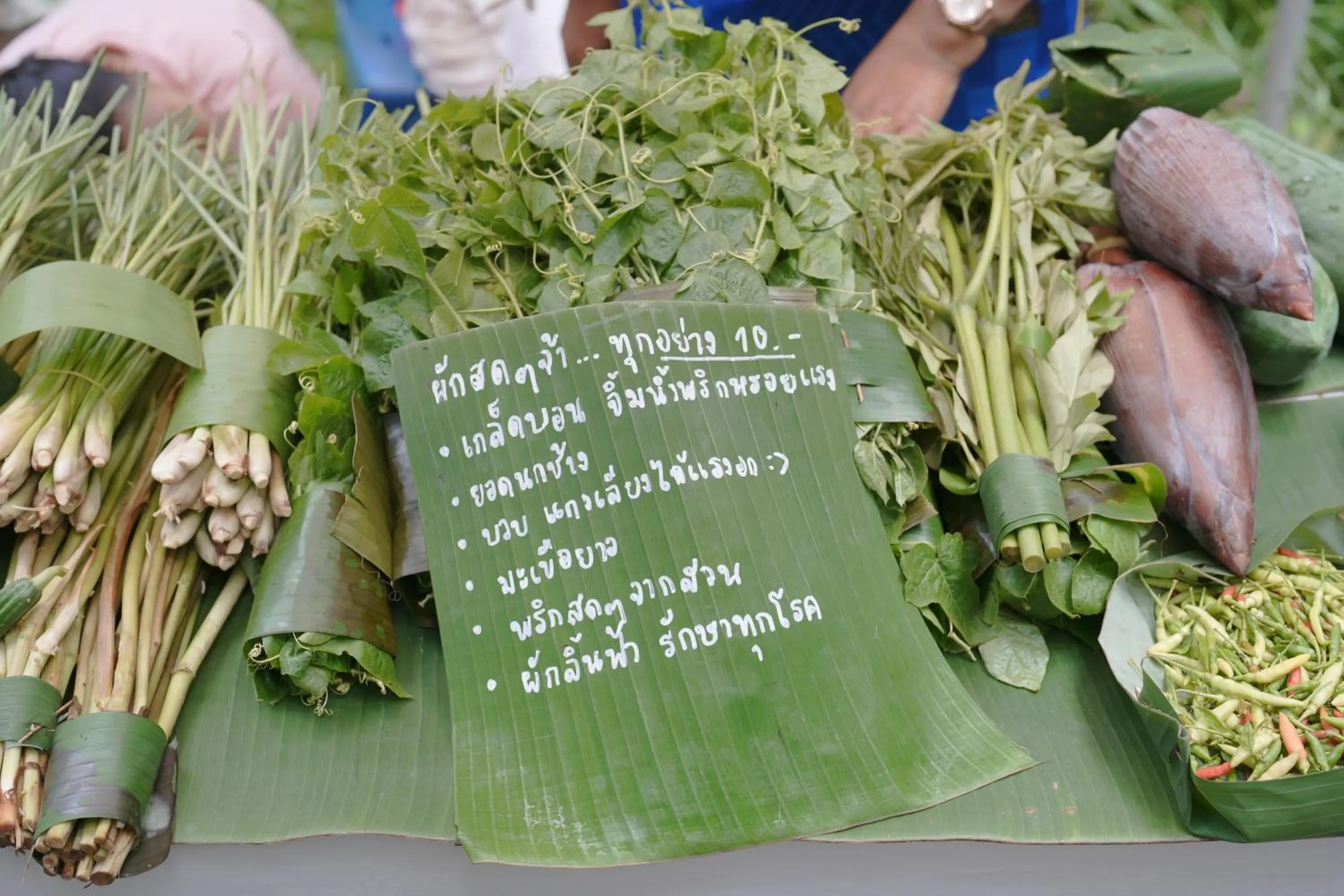 Activities in Blu Monkey Pooltara Krabi Hotel & Villas Pet Friendly