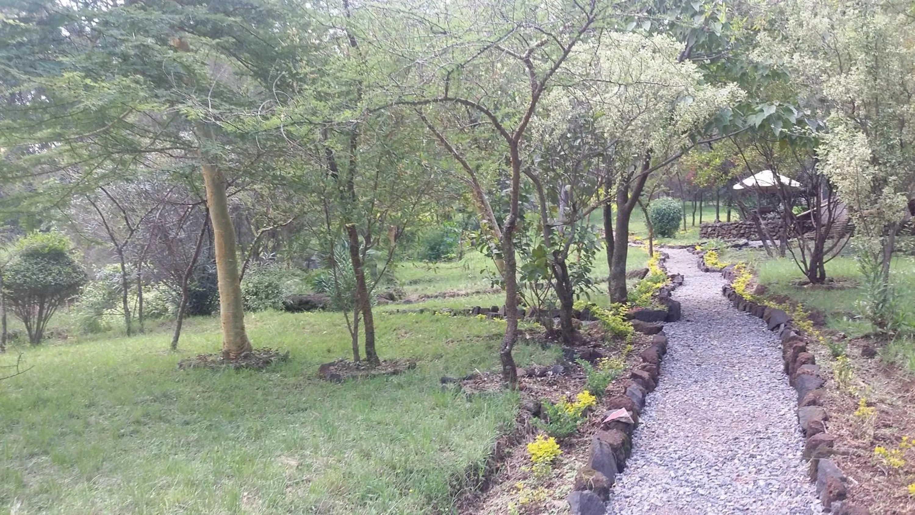 Natural landscape in Maili Saba Camp