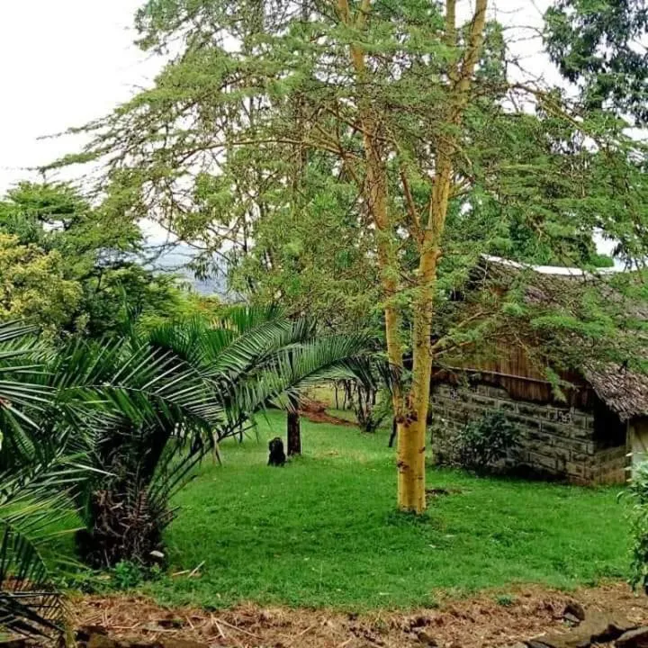 Breakfast in Maili Saba Camp