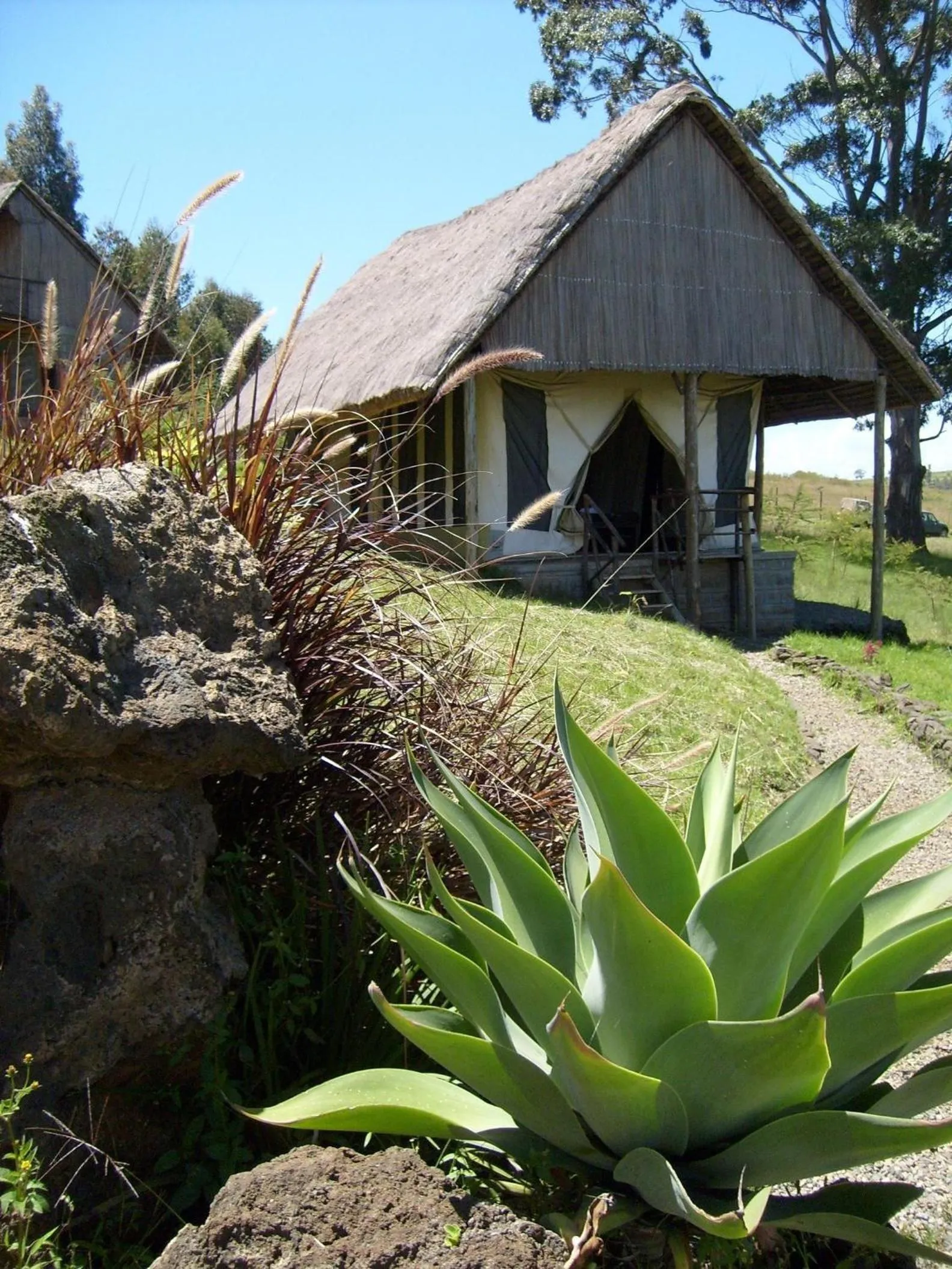 Area and facilities in Maili Saba Camp