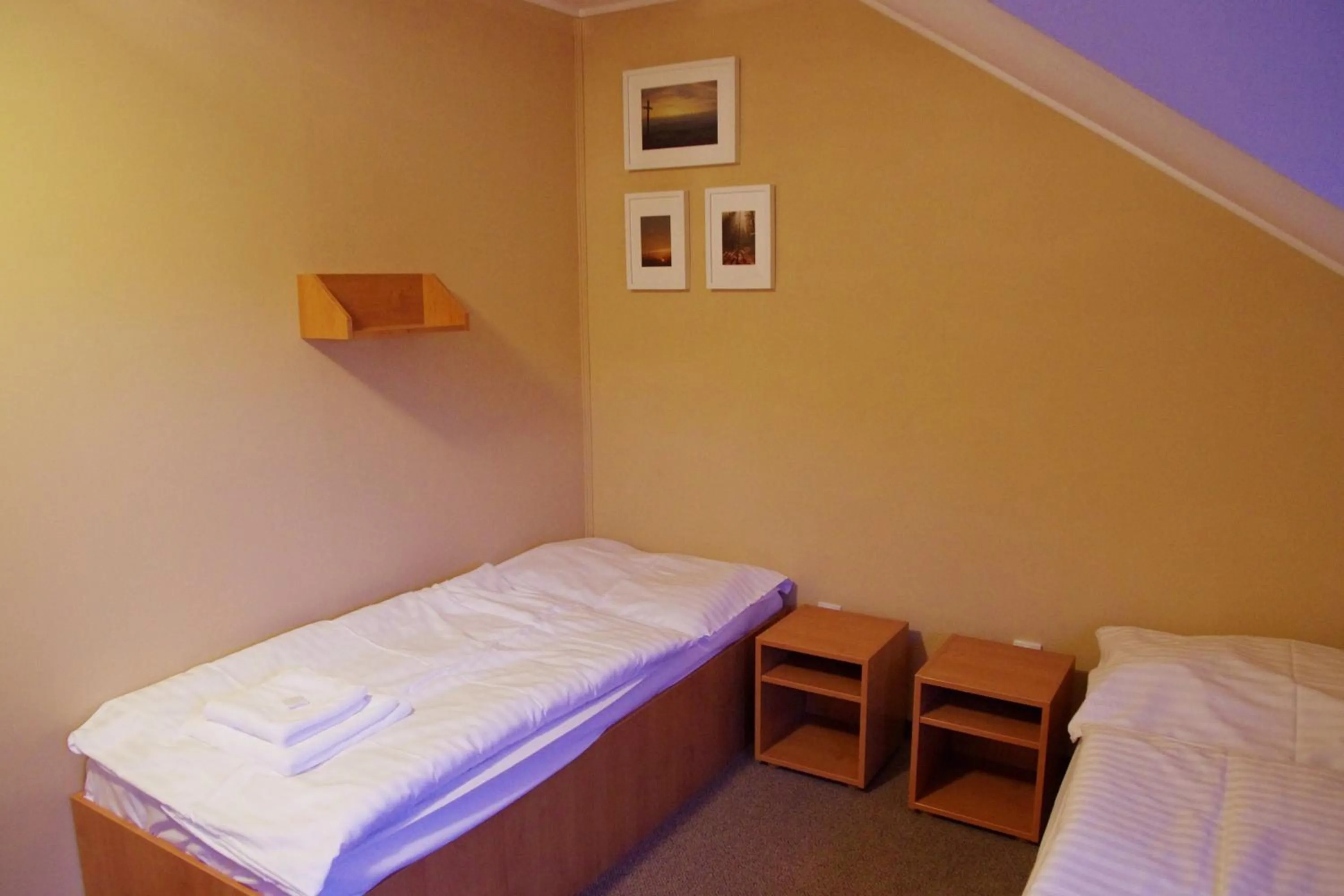 Bed in Penzion Zornicka