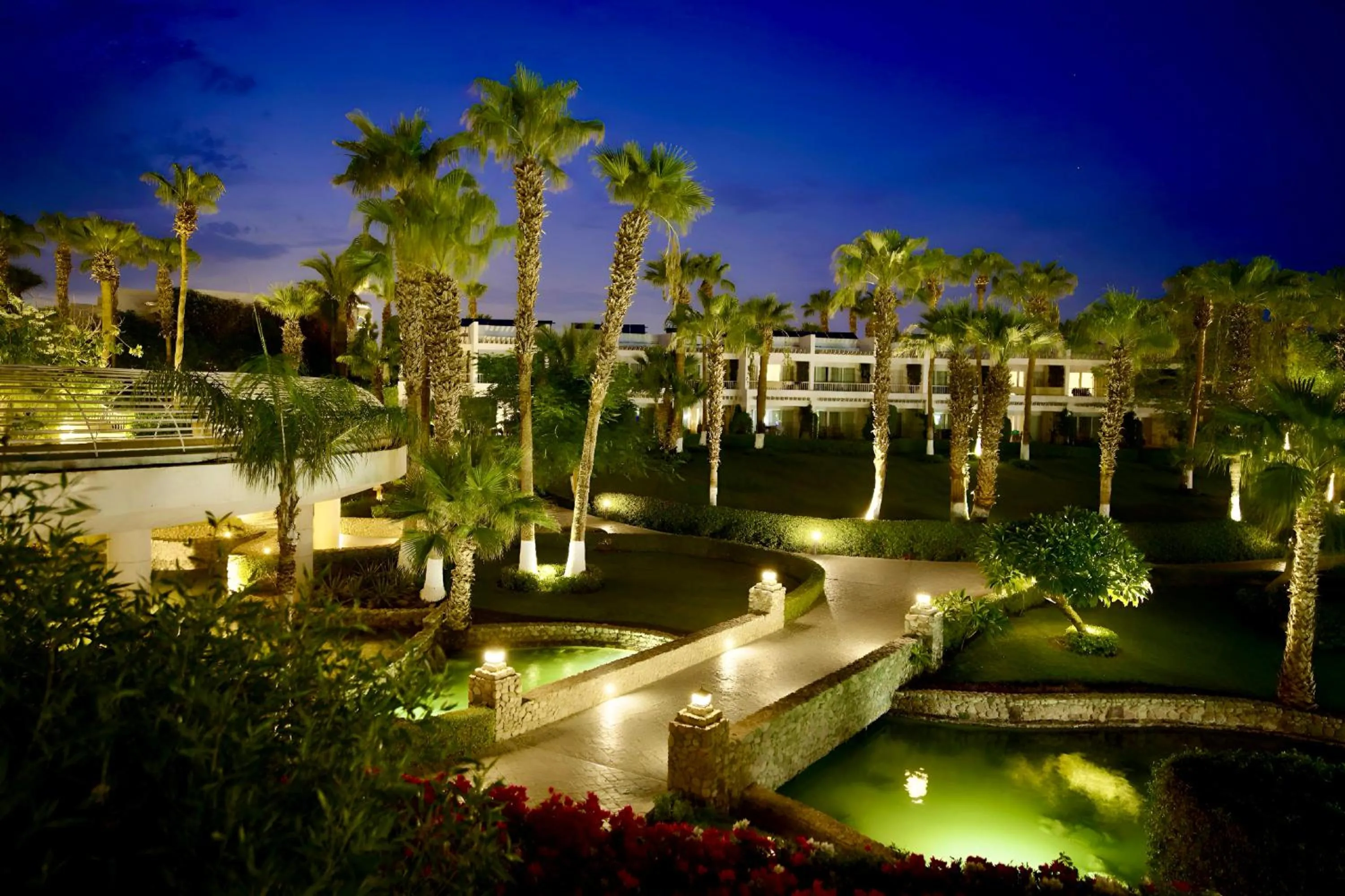Night in Royal Monte-Carlo Sharm Resort & SPA