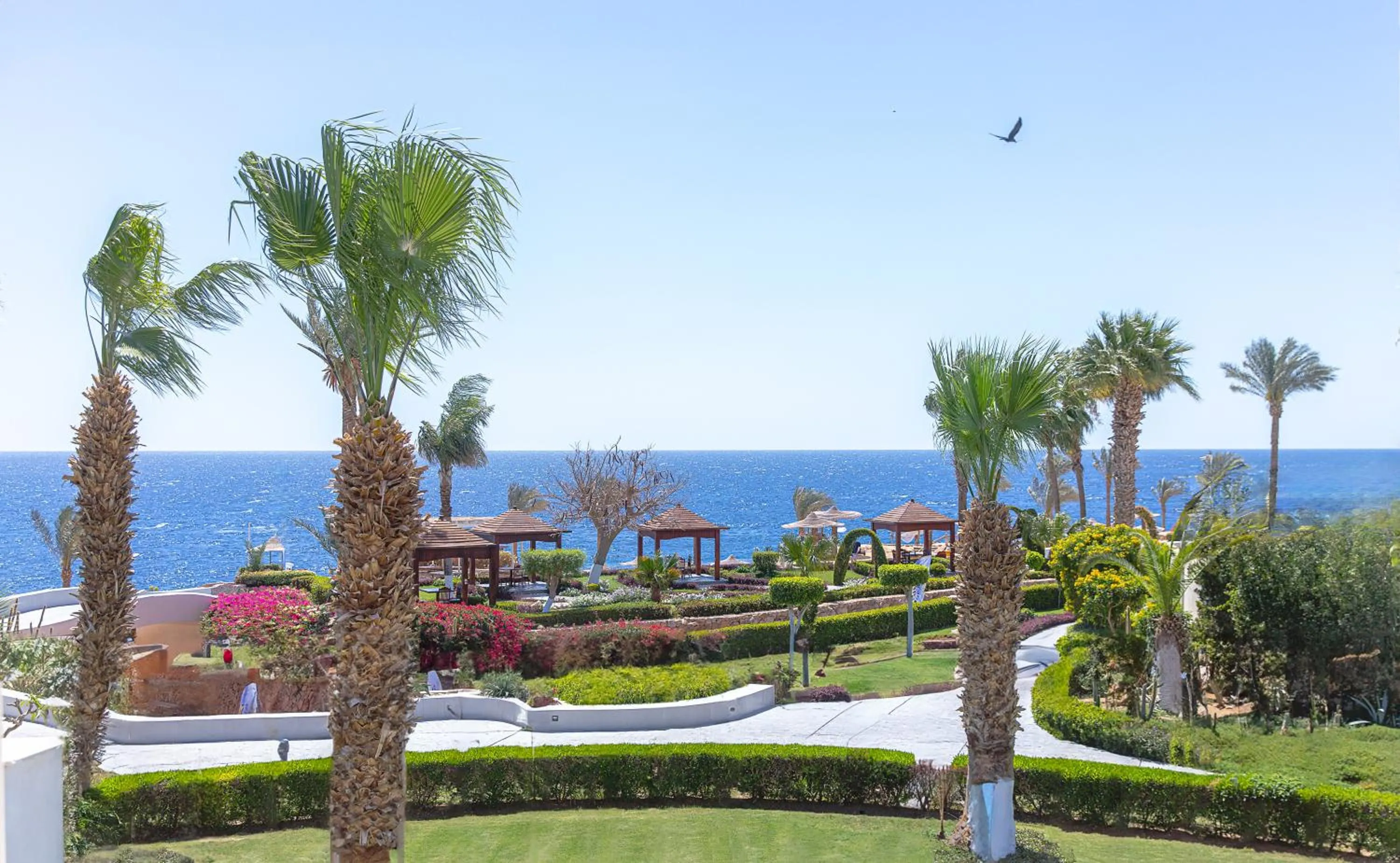 Sea view in Royal Monte-Carlo Sharm Resort & SPA
