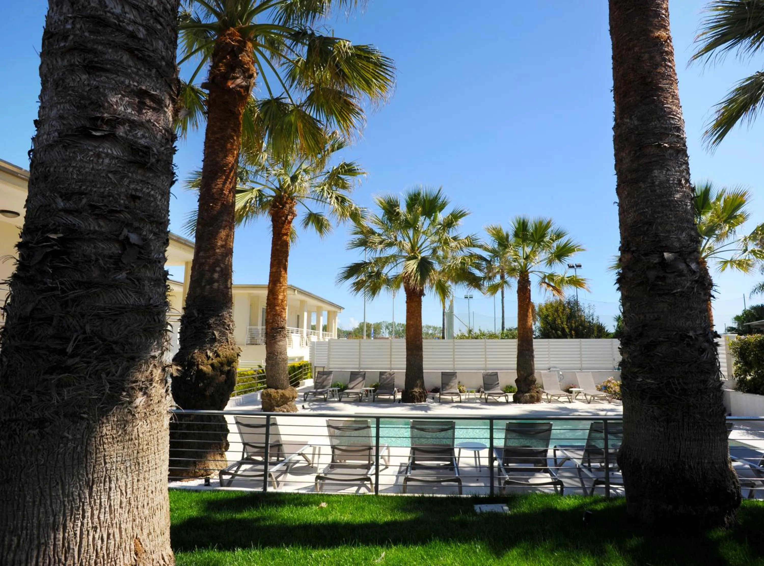 THE FLOWERs