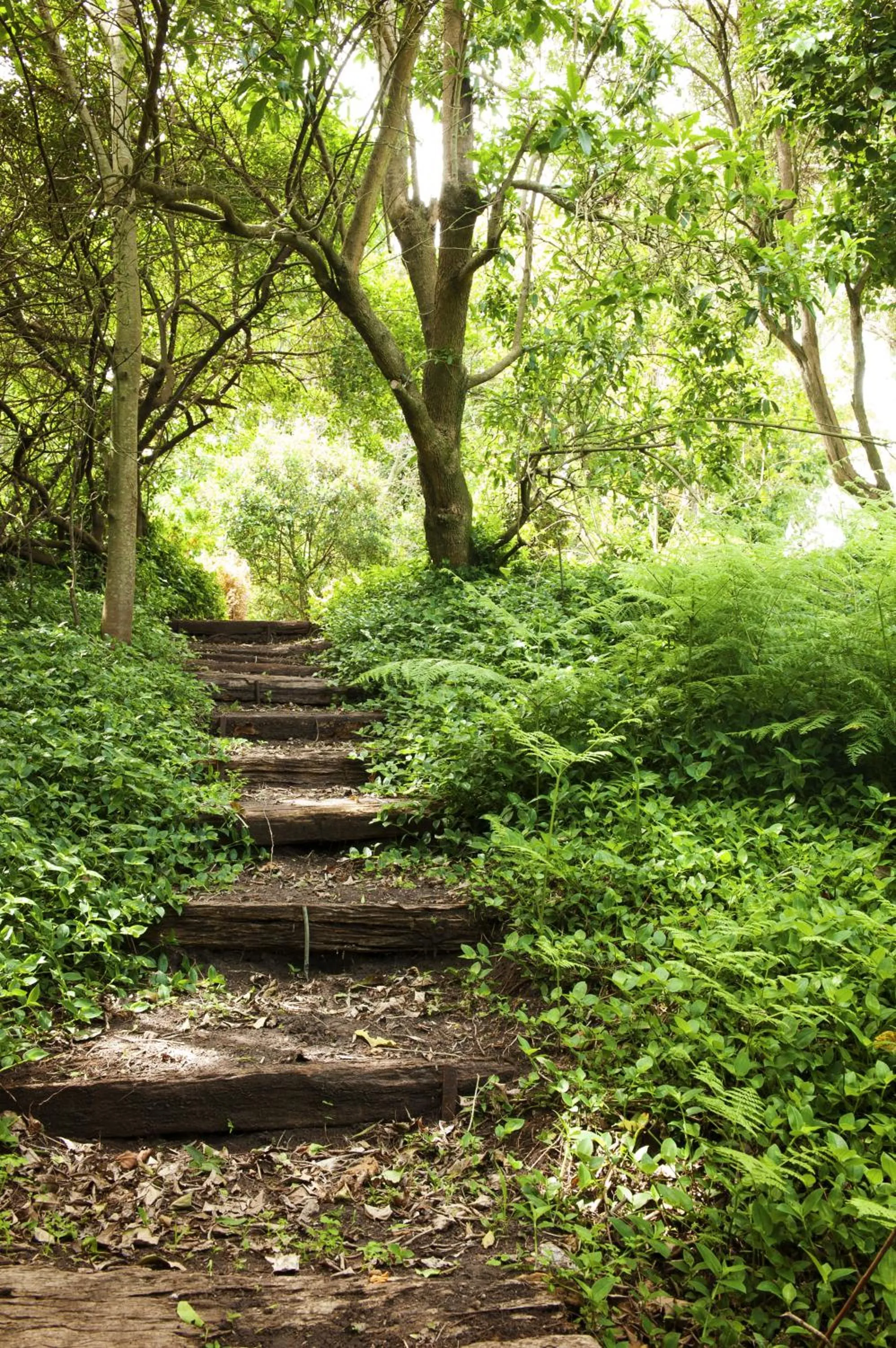 Natural landscape in ArendsRus Country Resort